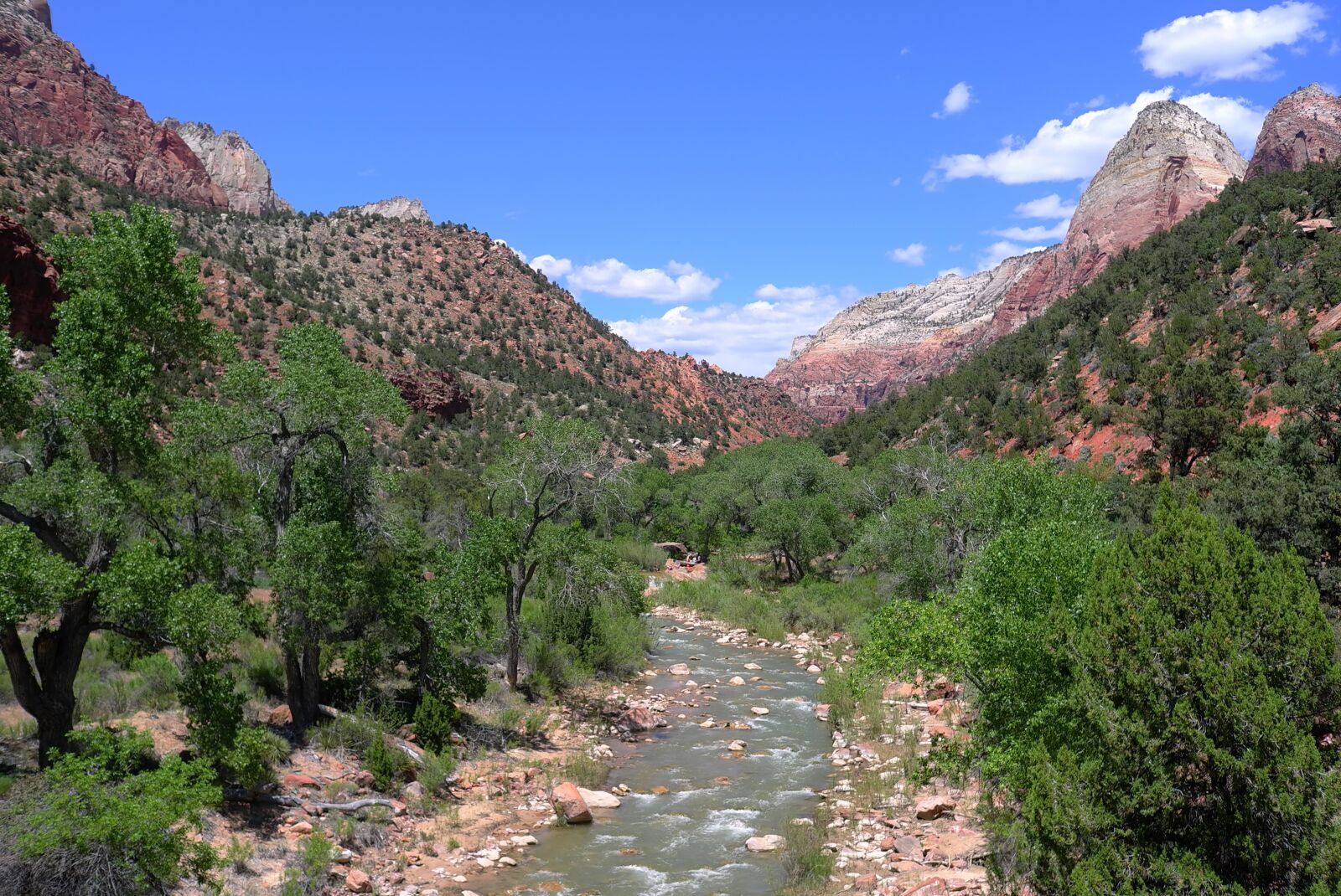 Leica X1 sample photo. Zion park, national park photography