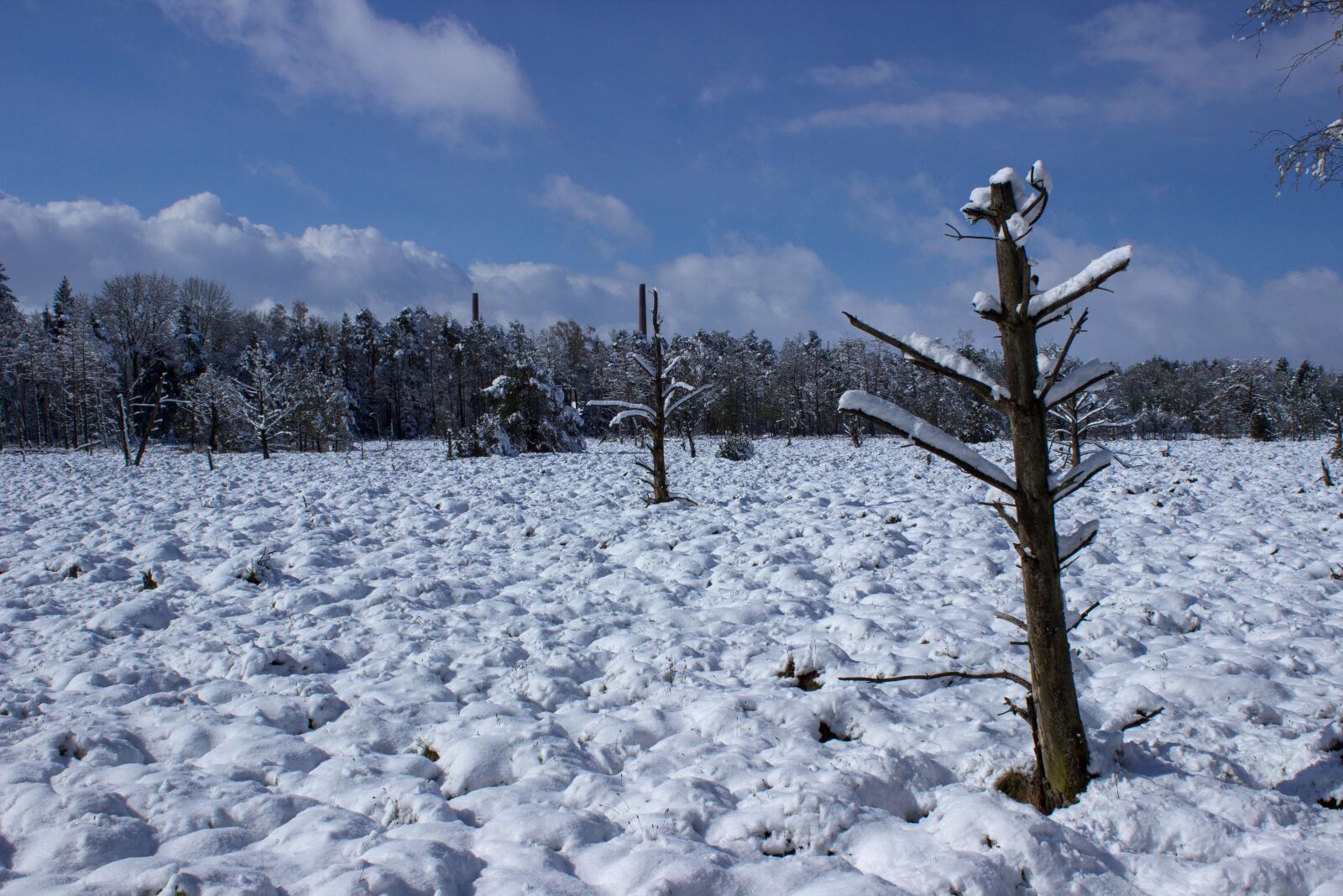 Canon EOS 600D (Rebel EOS T3i / EOS Kiss X5) sample photo. Wurzacher ried, nature reserve photography