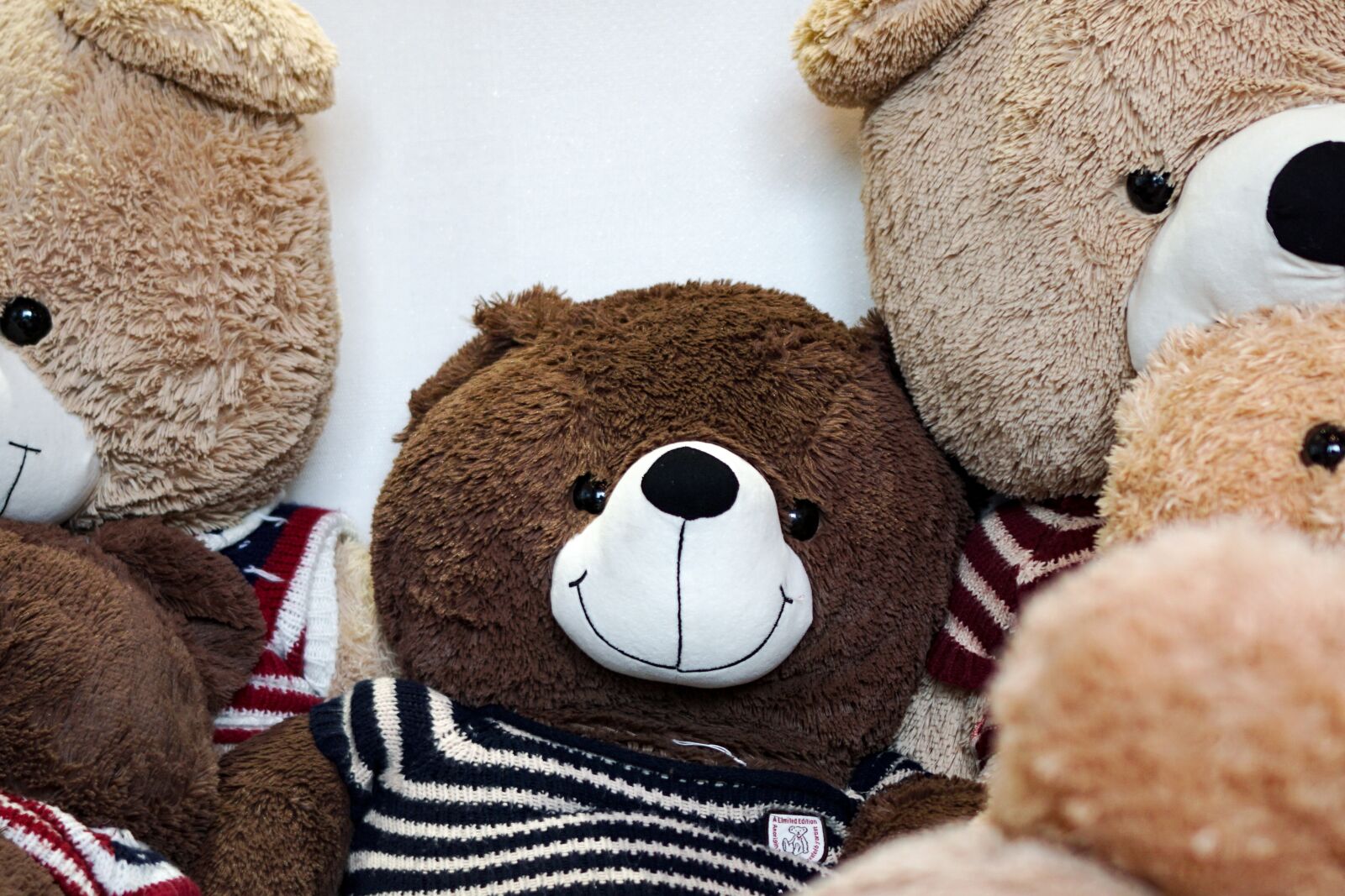 Sony a6000 sample photo. Teddy bear, doll, toy photography