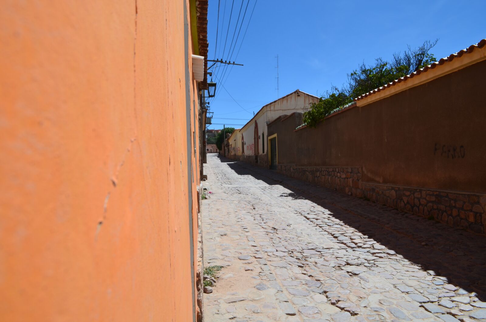 Nikon D5100 sample photo. Street, picturesque, salta photography
