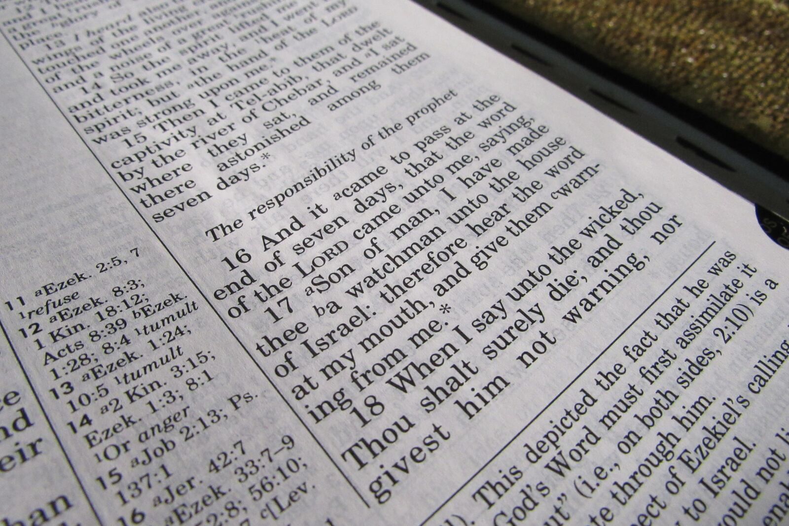 Canon PowerShot SX530 HS sample photo. Holy bible, gold, glitter photography