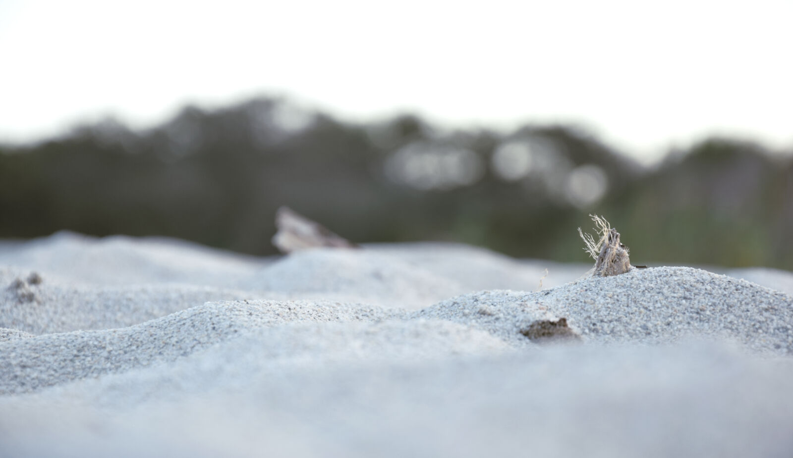 Nikon D3300 sample photo. Landscape, nature, ocean, poseidonia photography