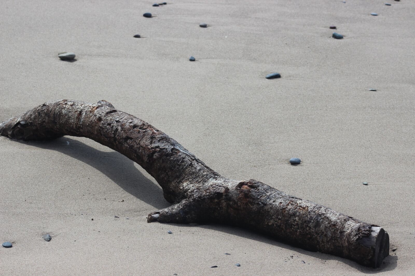Canon EF 75-300mm f/4-5.6 USM sample photo. Log, sand, beach photography
