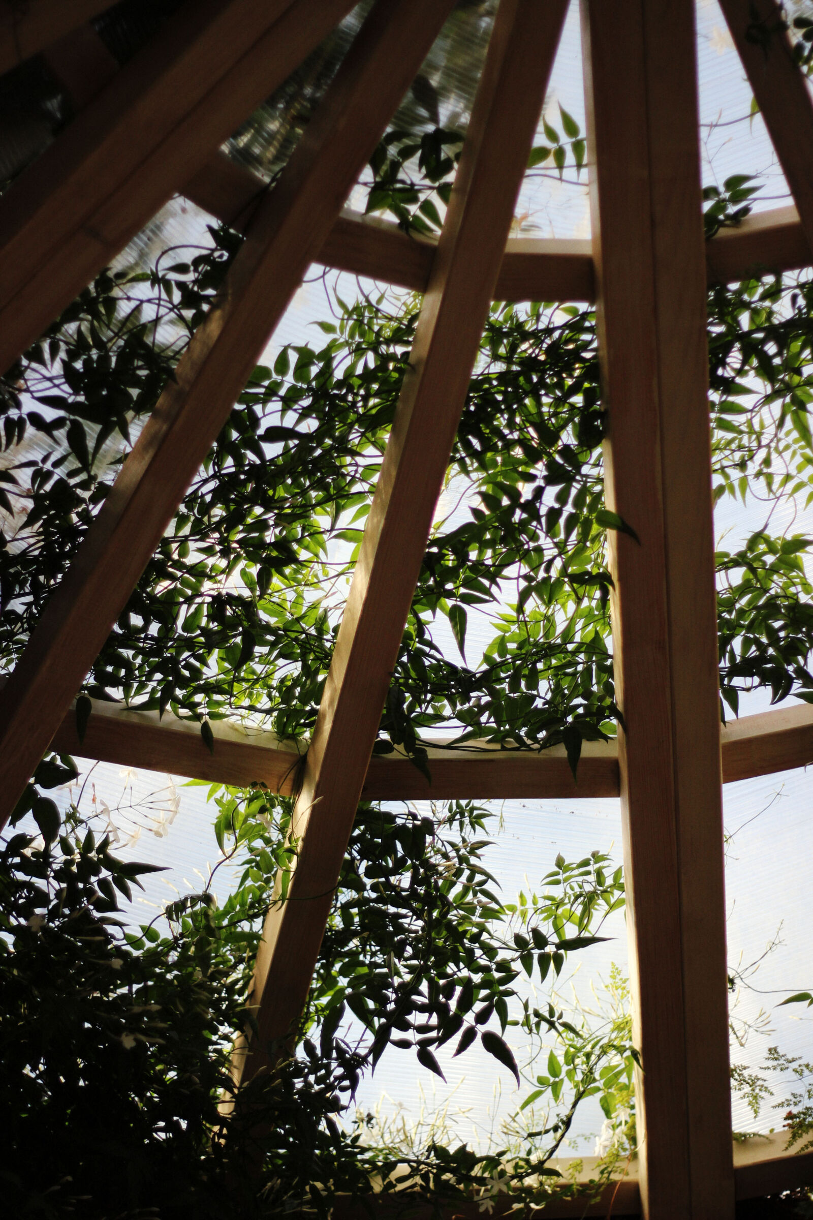 Canon EOS 600D (Rebel EOS T3i / EOS Kiss X5) + Canon EF 50mm F1.8 II sample photo. Building, ceiling, daylight, greenhouse photography