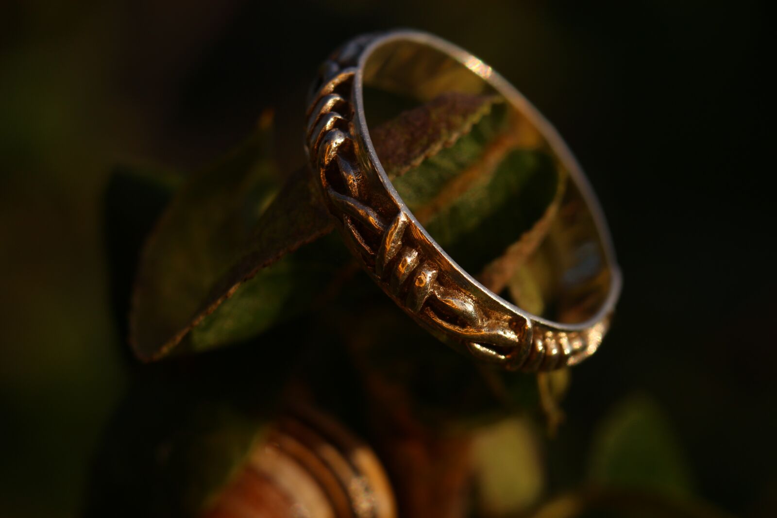 Canon EOS 100D (EOS Rebel SL1 / EOS Kiss X7) sample photo. Ring, silver ring, jewellery photography