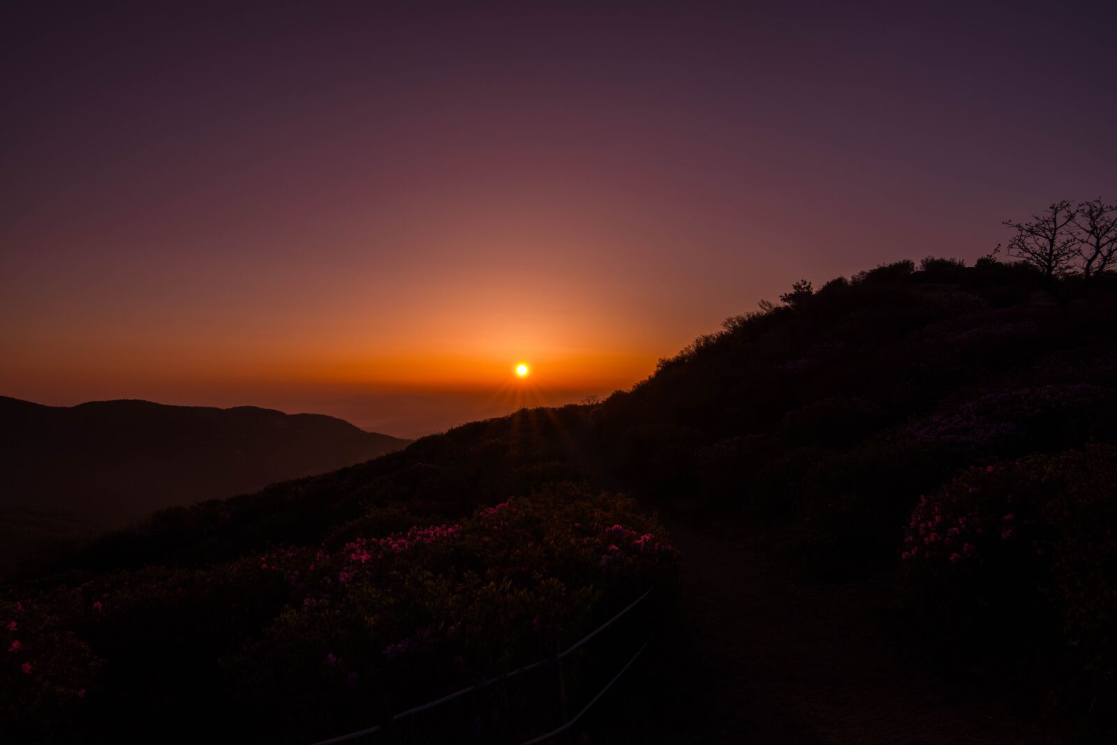 Nikon D800 sample photo. Sunset, dawn, scenery photography