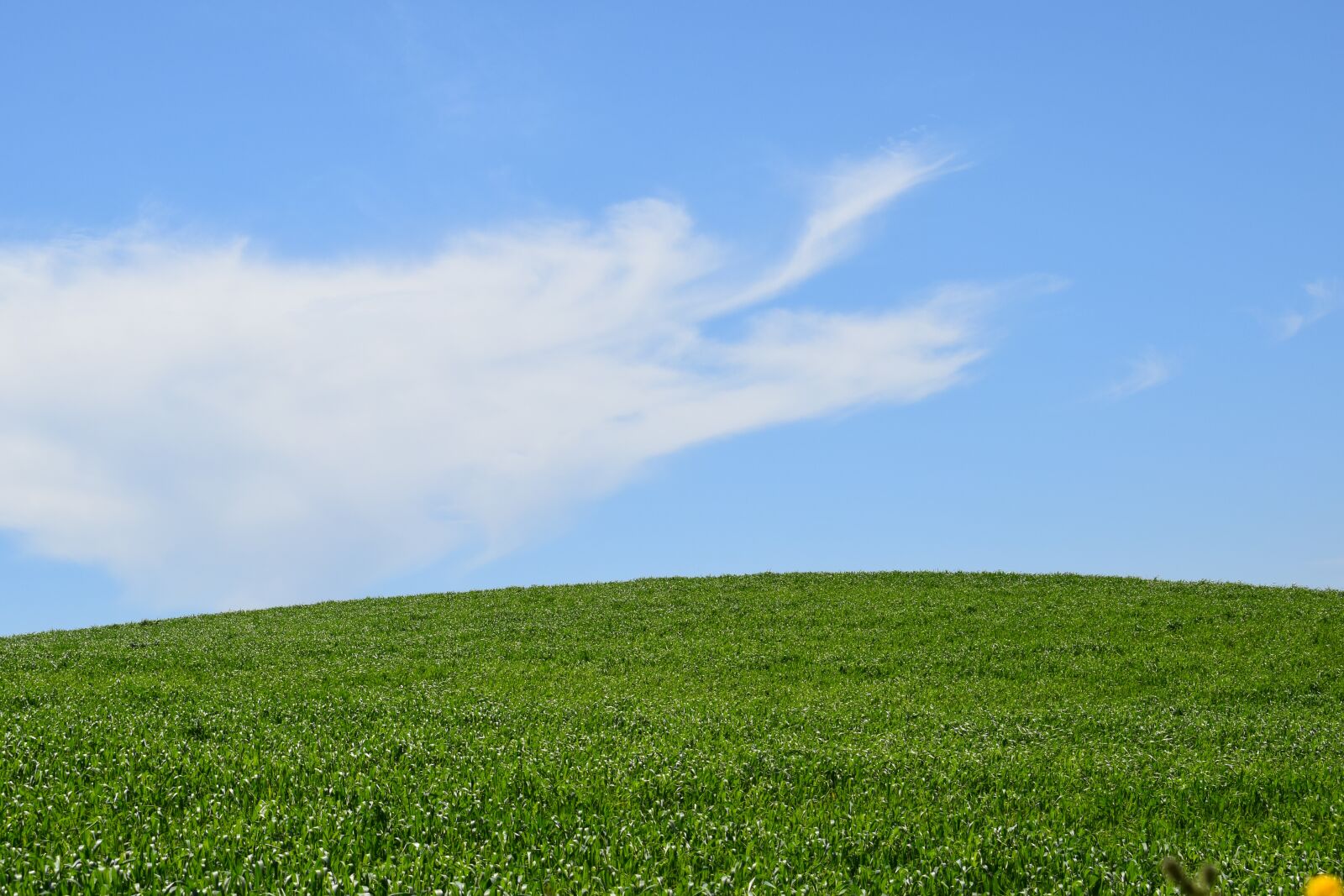Nikon D3300 sample photo. Nature, panoramic, summer photography