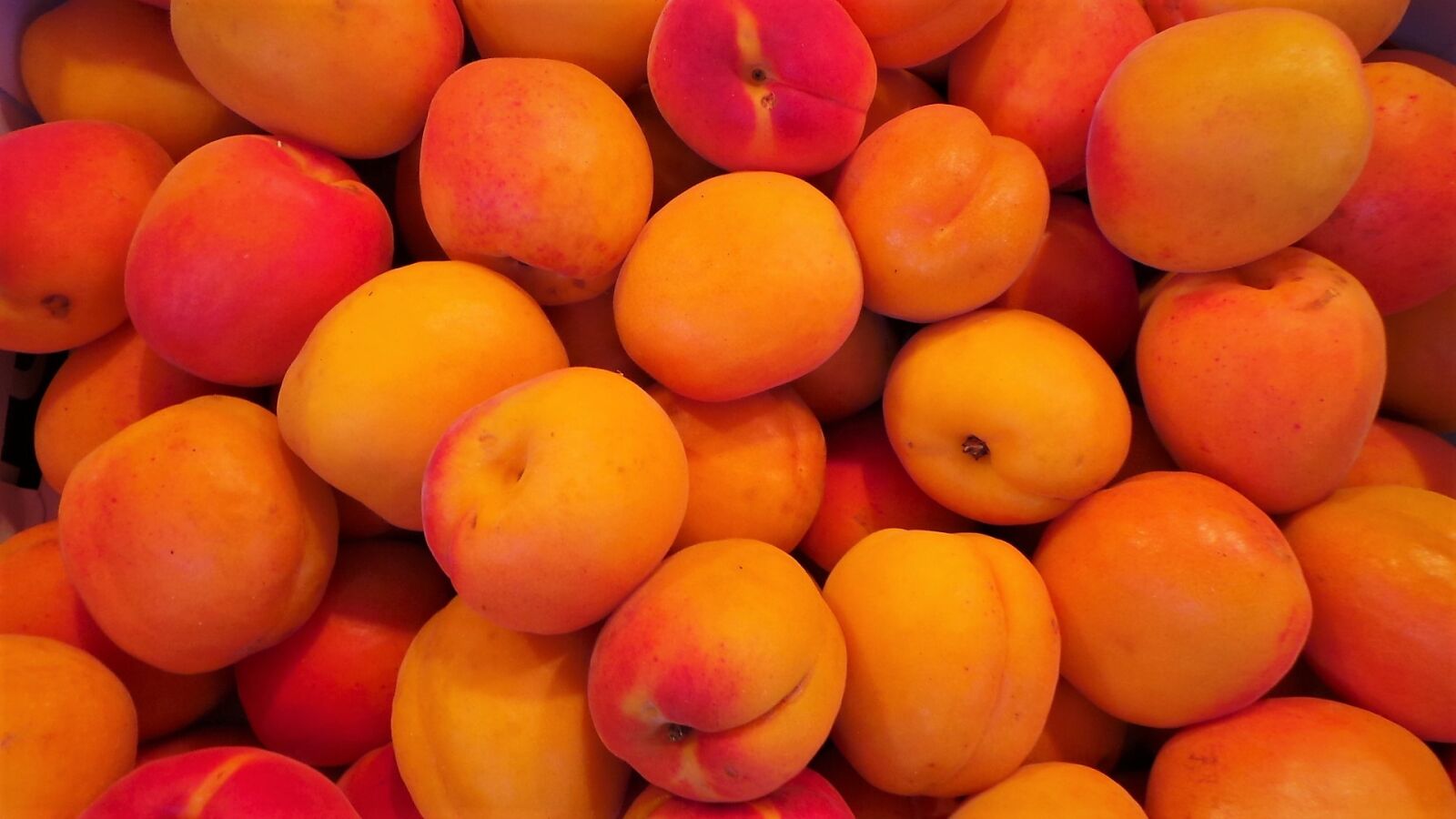 Samsung Galaxy Camera (Wi-Fi) sample photo. Fruit, apricot, health photography