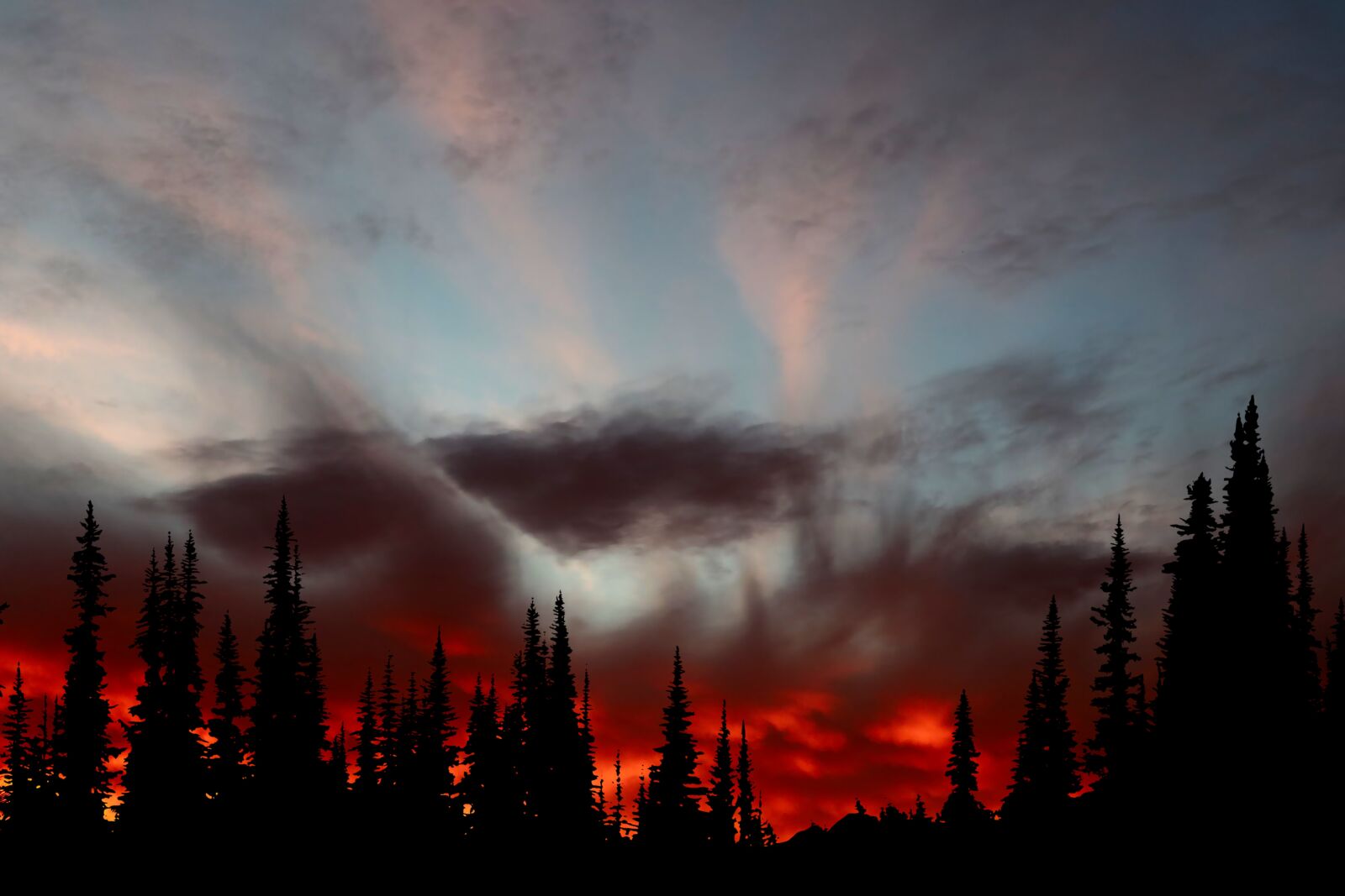 Canon PowerShot G1 X Mark III sample photo. Sunset, forest, fir photography
