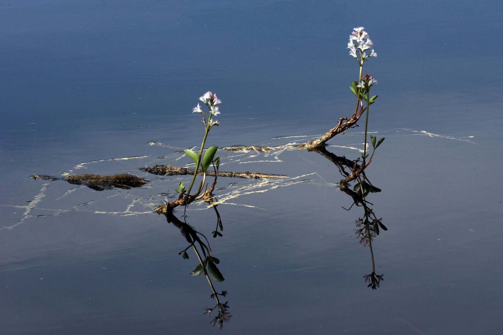 Canon EOS 20D sample photo. Water, the nature of photography
