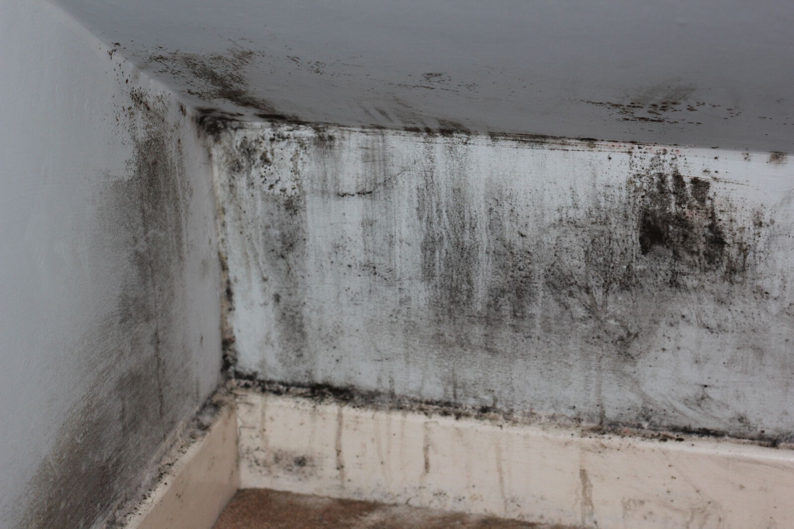 Canon EOS 550D (EOS Rebel T2i / EOS Kiss X4) sample photo. House, mould photography