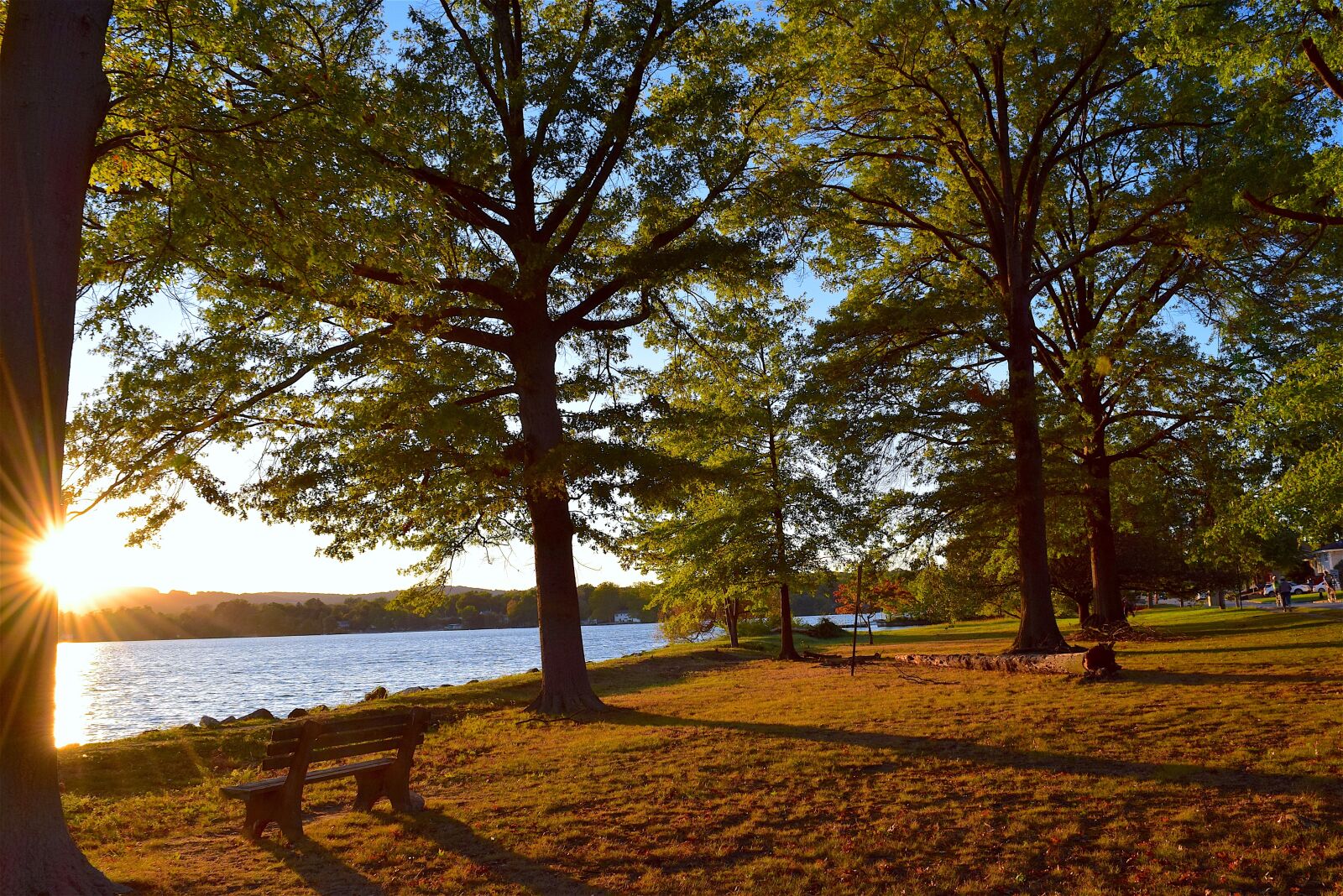 Nikon D3300 sample photo. Sunset, tree, lake photography