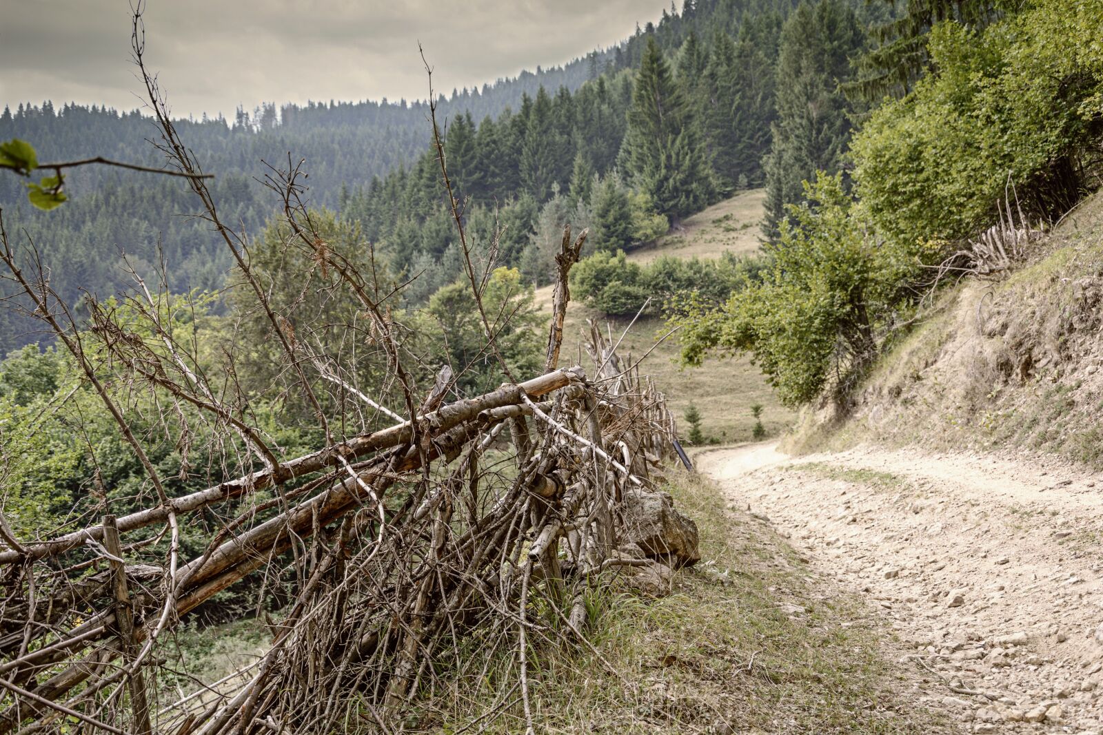 Nikon D7100 sample photo. Mountain, road, trees photography