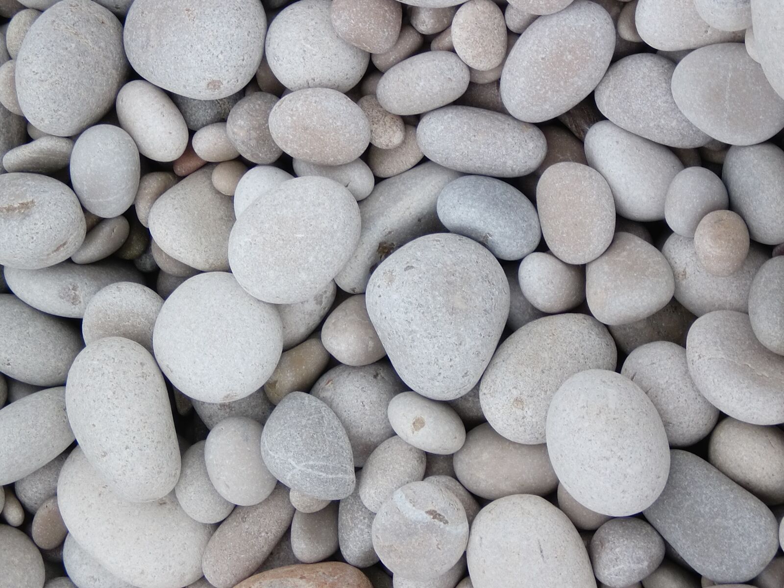 CASIO EX-Z90 sample photo. Stones, river photography