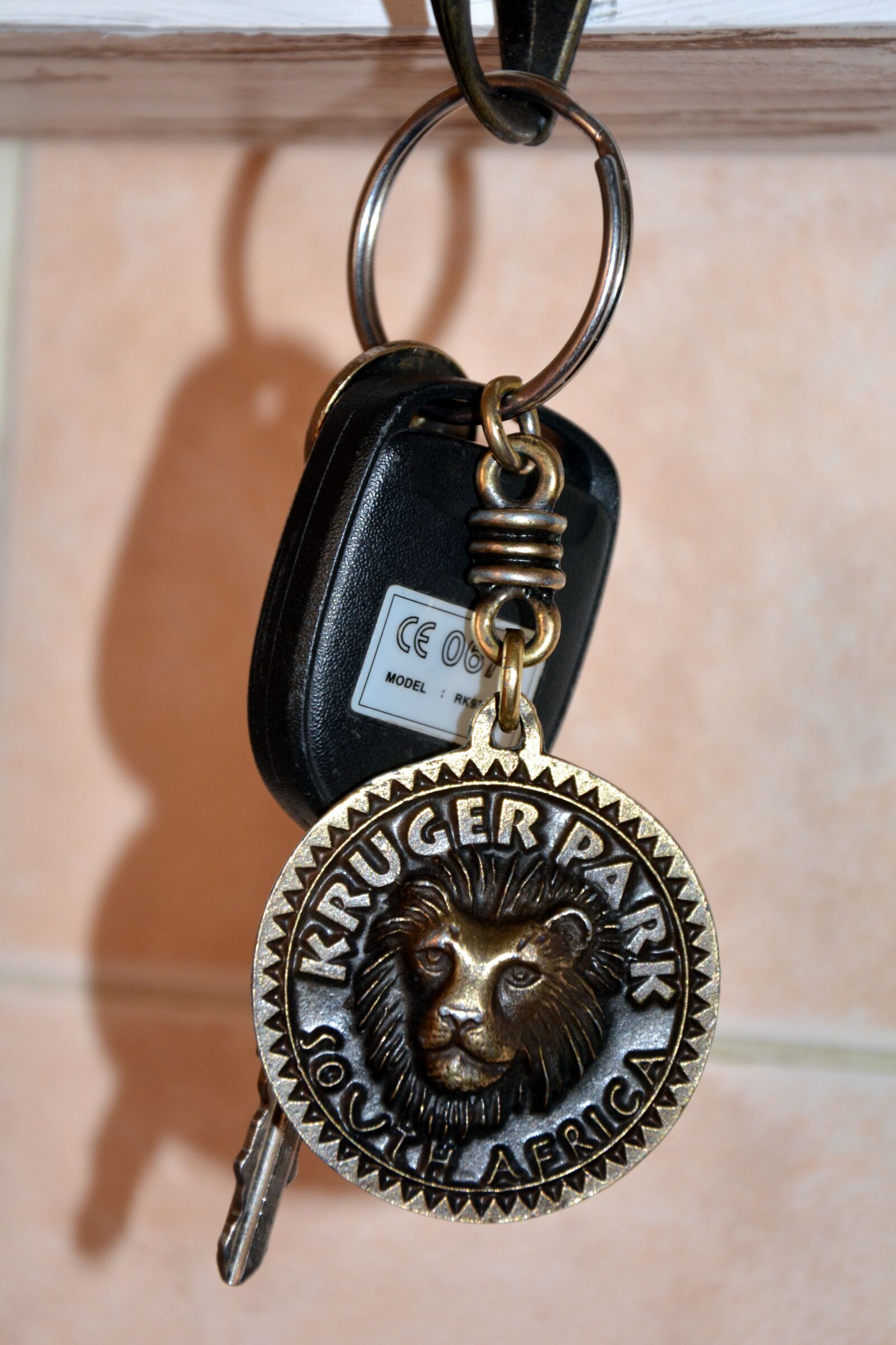 Nikon D5200 sample photo. Key ring, key, security photography