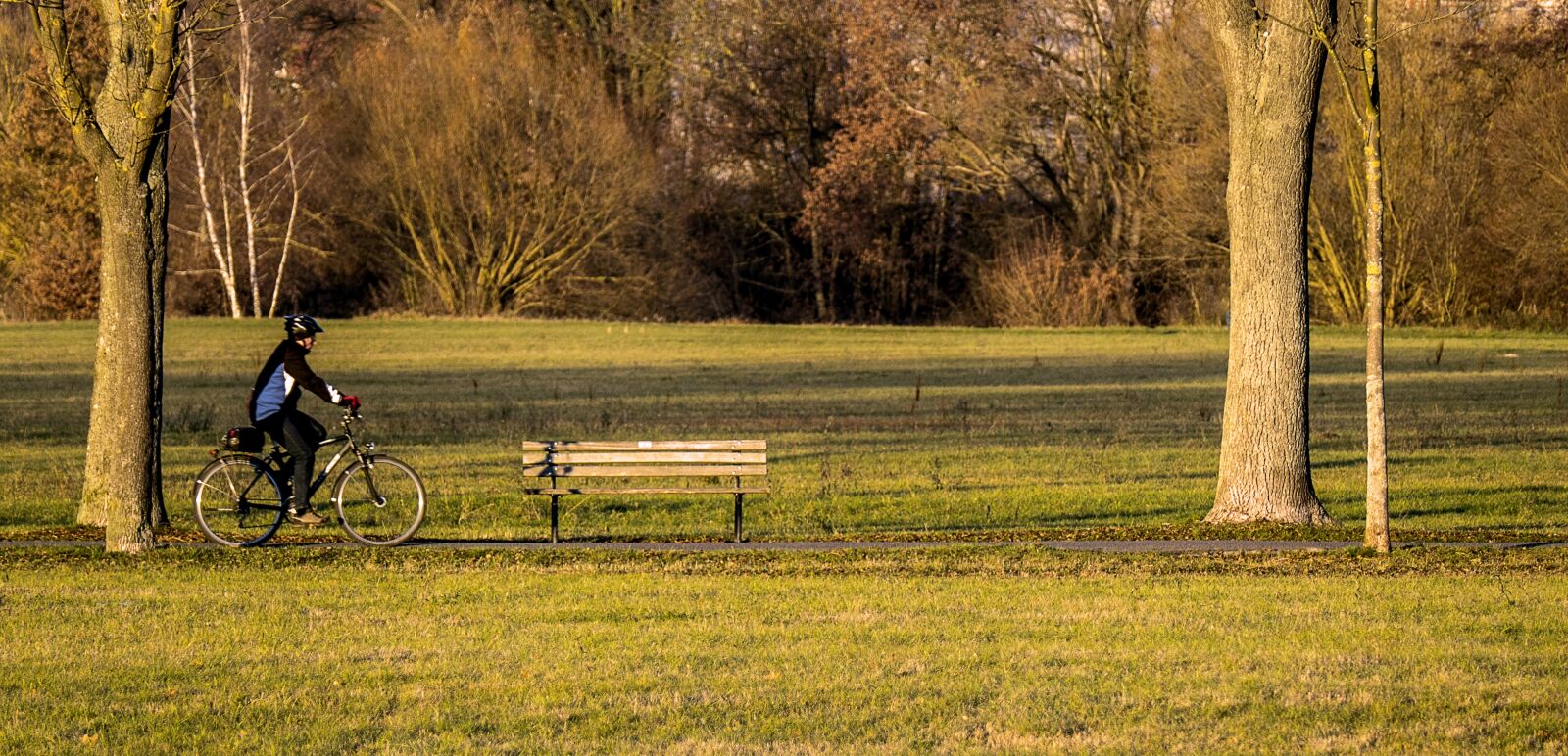 Panasonic Lumix DMC-FZ1000 sample photo. Landscape, autumn, mood photography