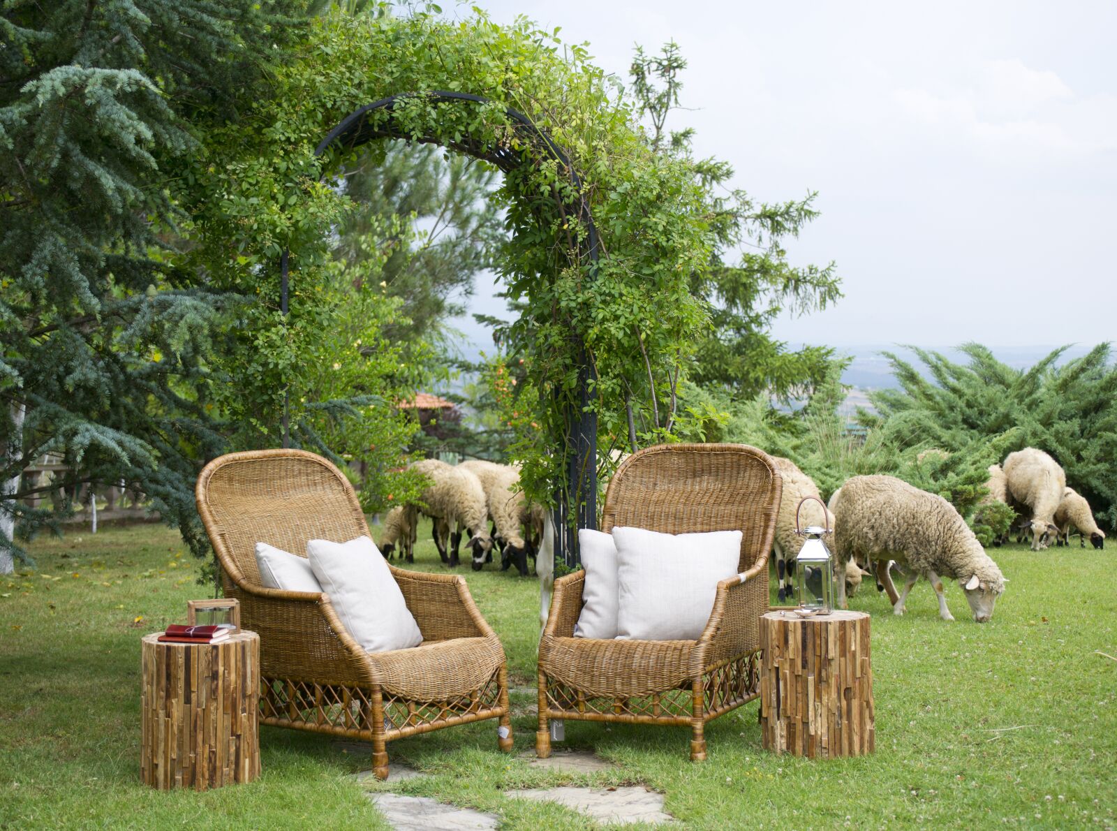 Sony Alpha DSLR-A850 sample photo. Chair, sheep, farm photography