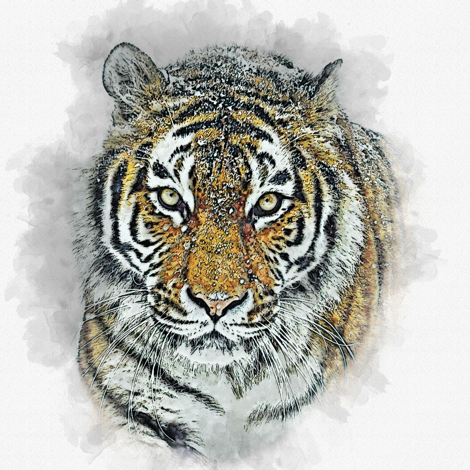 Sony 70-400mm F4-5.6 G SSM sample photo. Amur tiger, tiger, cat photography
