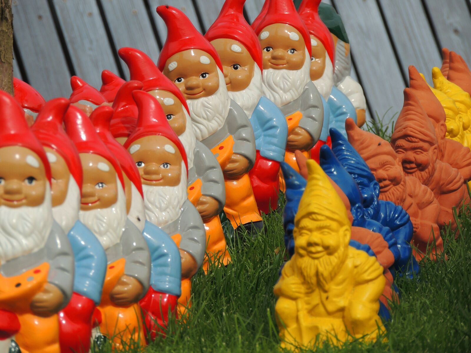 Nikon Coolpix P510 sample photo. Dwarfs, imp, garden gnome photography