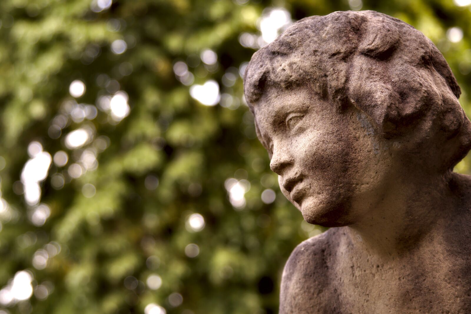 Canon EOS 6D + Canon EF 24-105mm F4L IS USM sample photo. Cherub, green, park photography