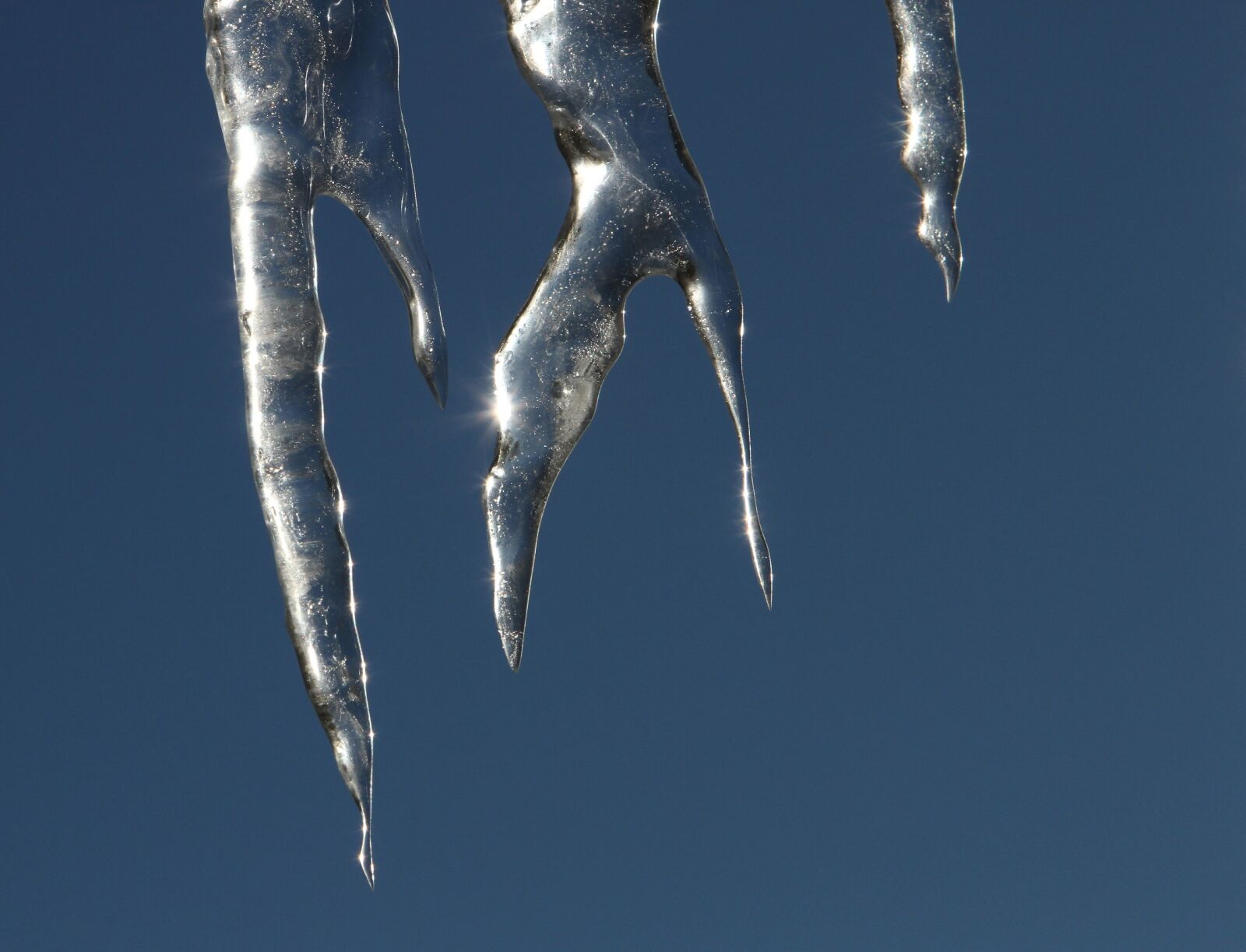 Canon EOS 7D sample photo. Icicles, dripping, ice photography