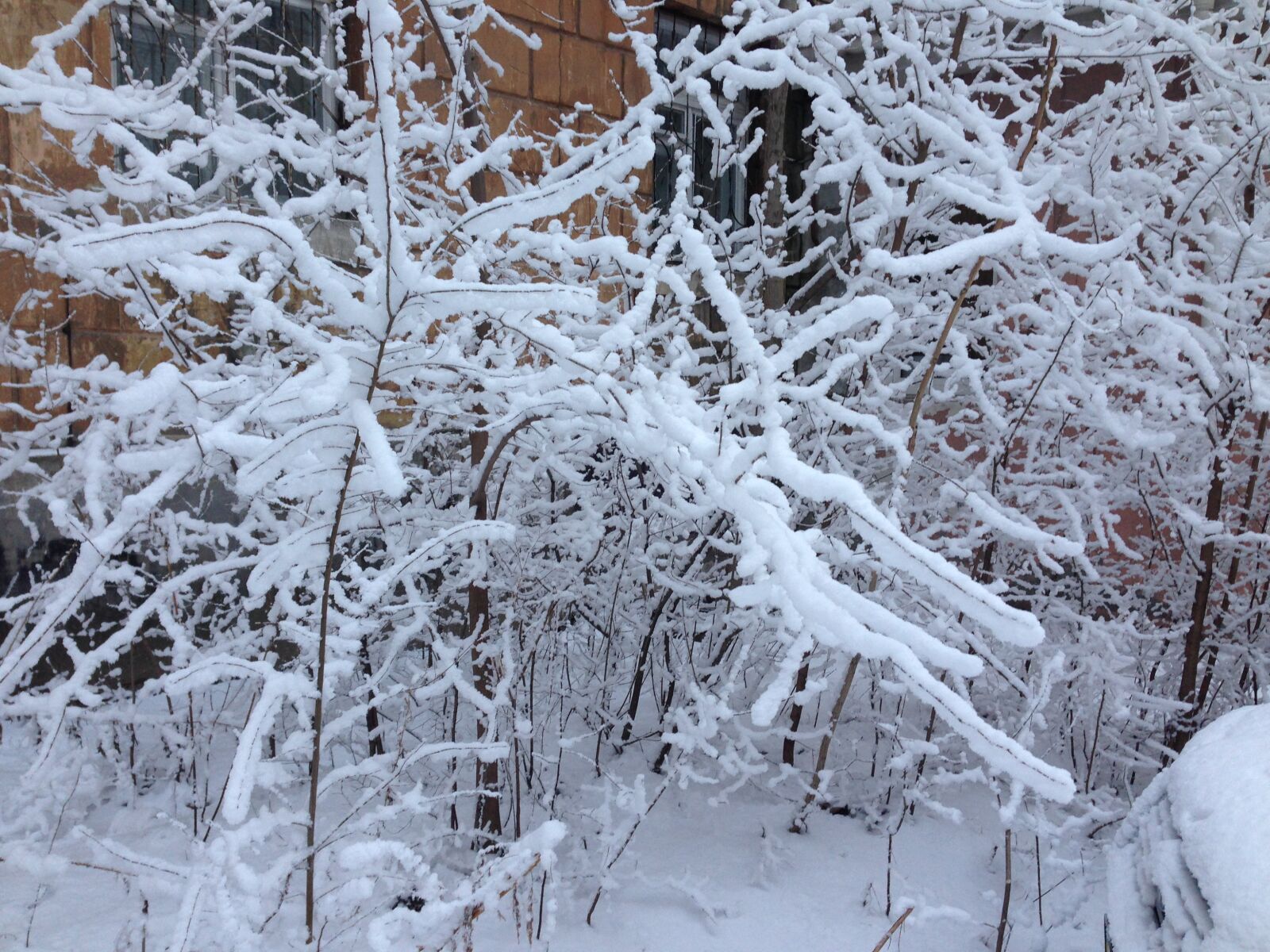 Apple iPhone 5 sample photo. Snow photography