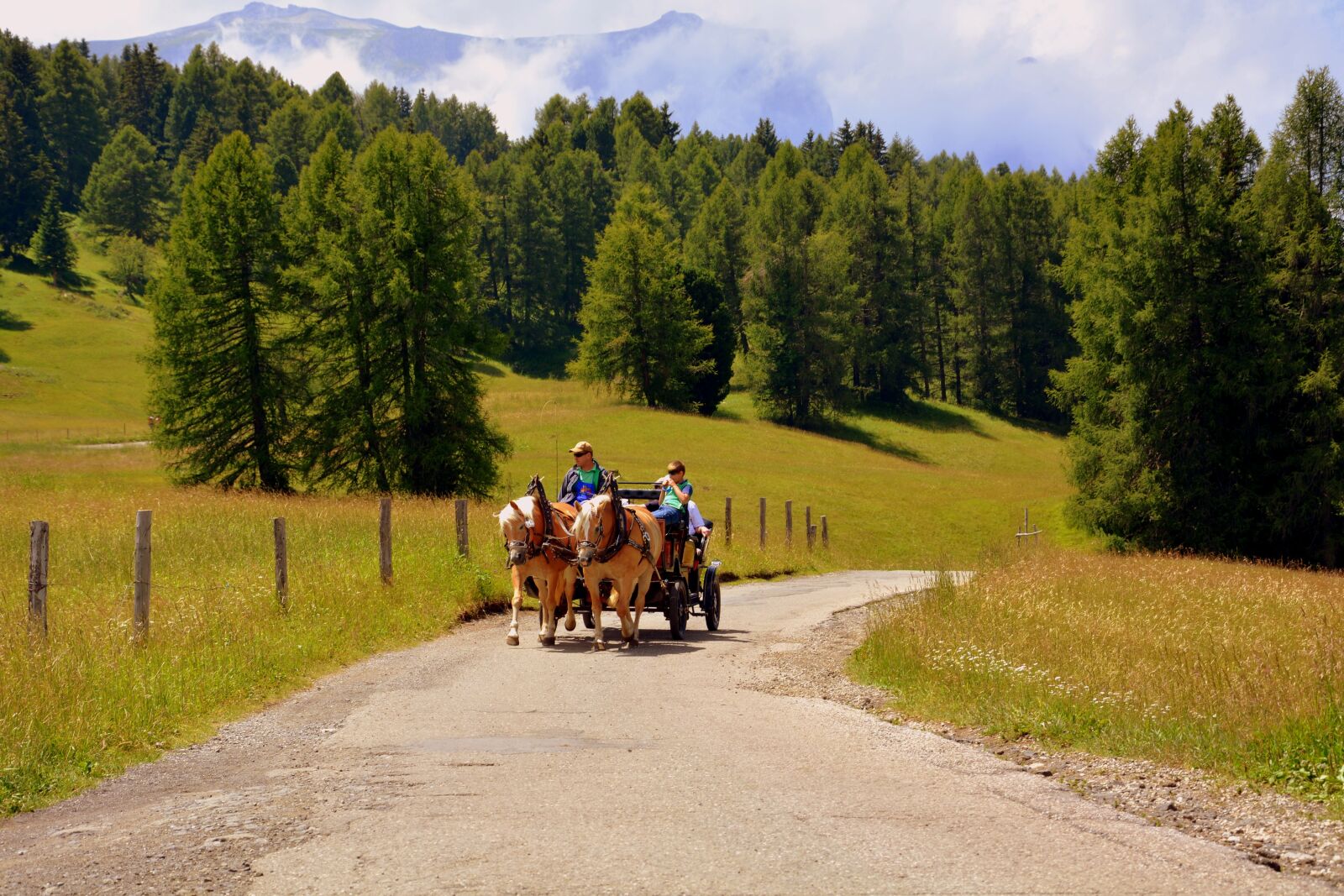 Nikon D7100 sample photo. Horse, calash, carrozza photography