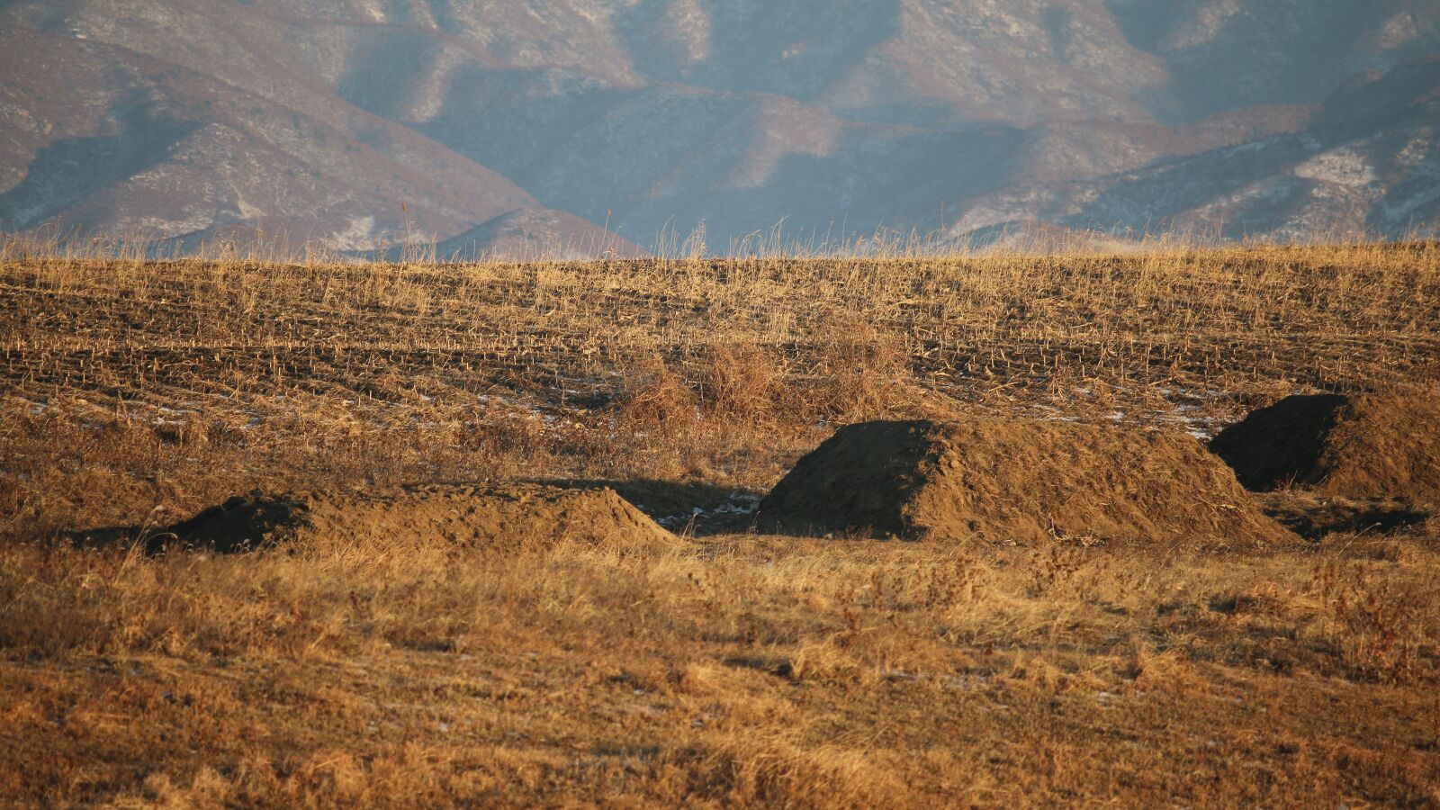 Canon EF-S 55-250mm F4-5.6 IS STM sample photo. North korea, poverty, hungry photography