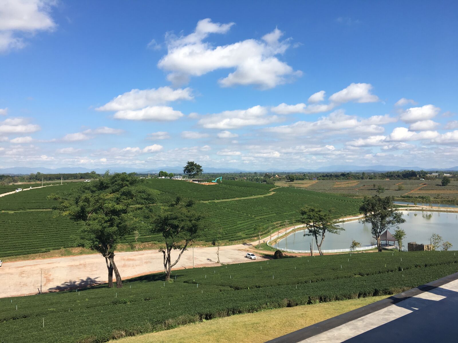 Apple iPhone 6s Plus sample photo