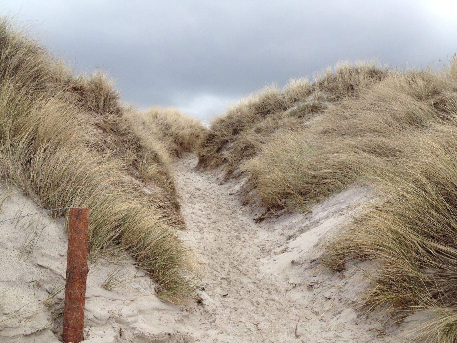 iPhone 4S back camera 4.28mm f/2.4 sample photo. Dune landscape, nature photography