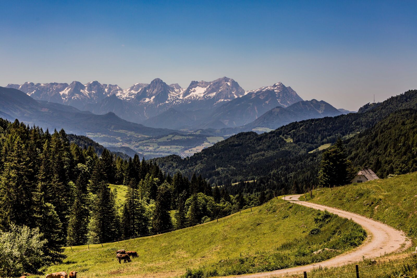 Canon EF 70-300mm F4-5.6L IS USM sample photo. Mountains, forest, freedom photography