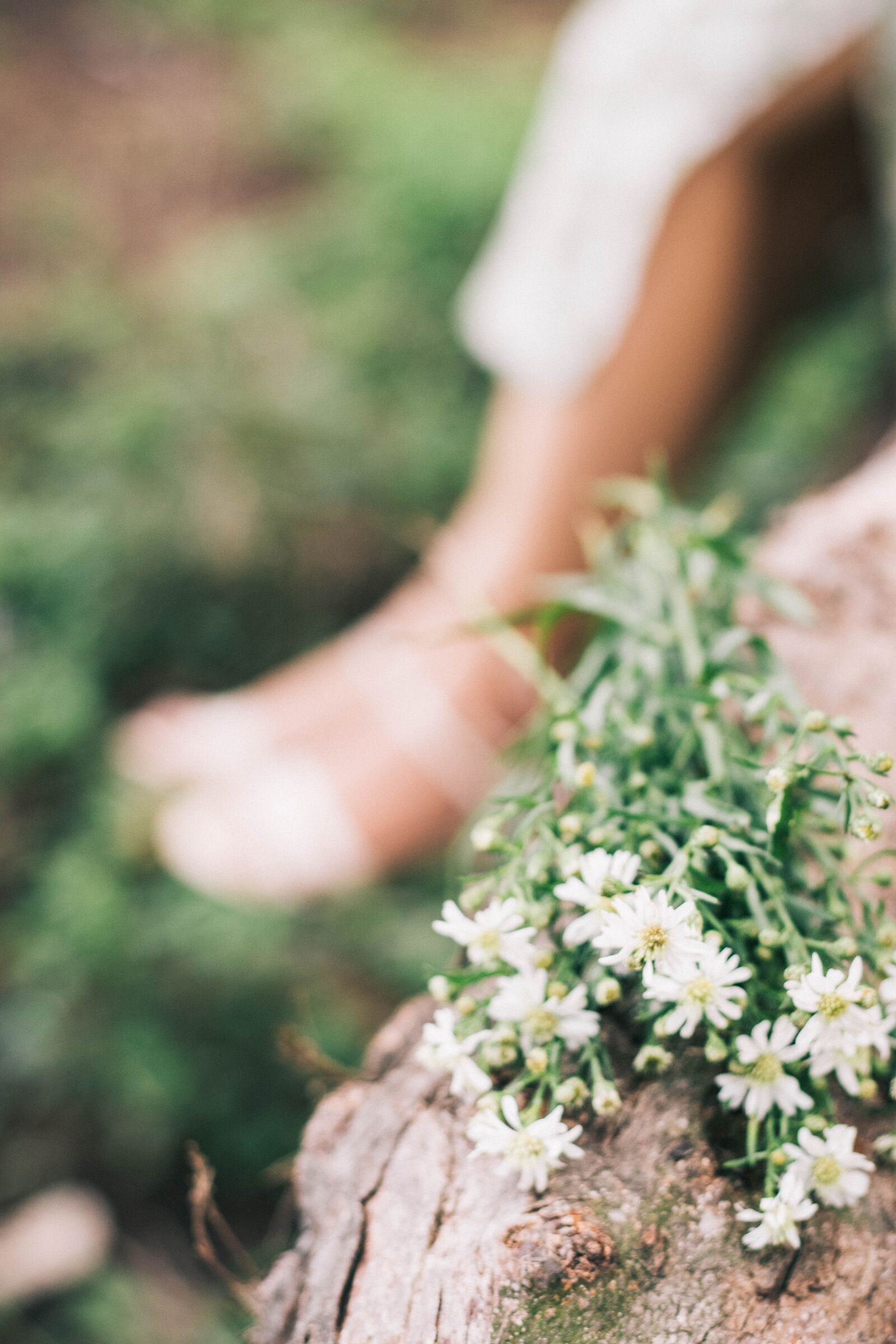 Canon EOS M50 (EOS Kiss M) sample photo. Green, white, flowers photography