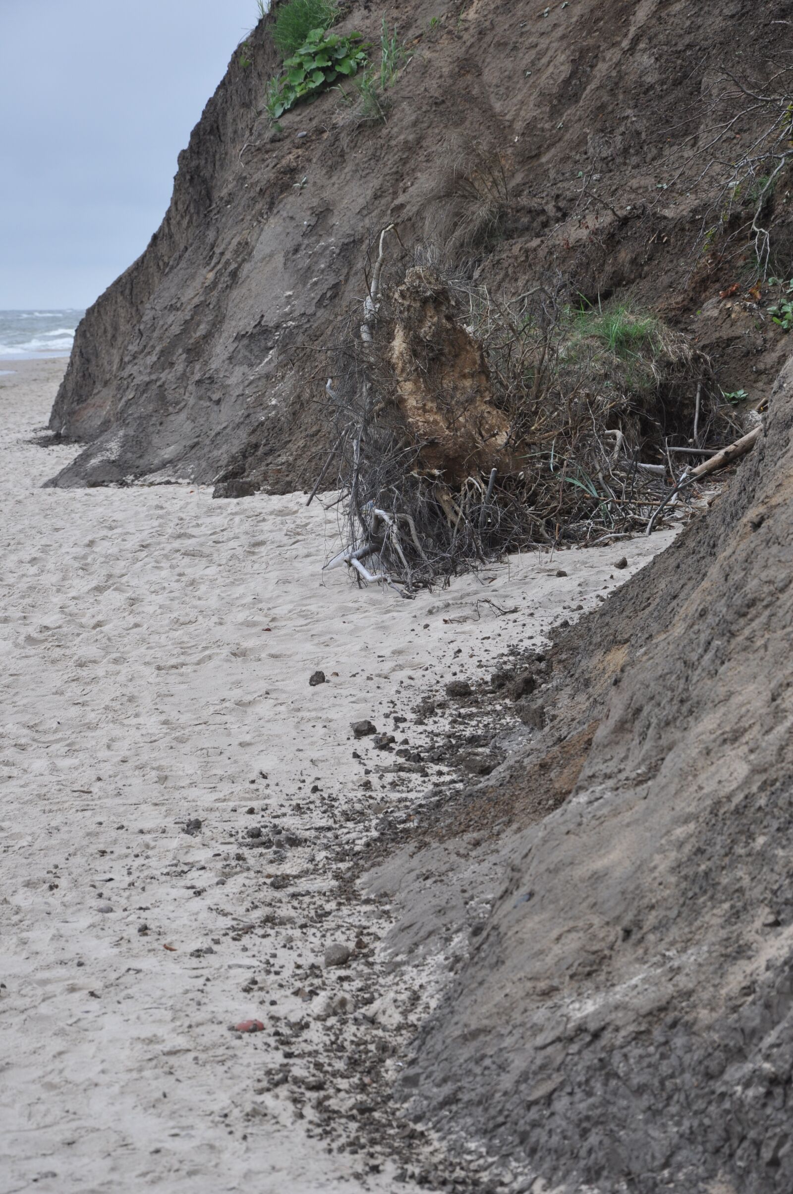 Nikon D90 sample photo. The coast, cliff, beach photography