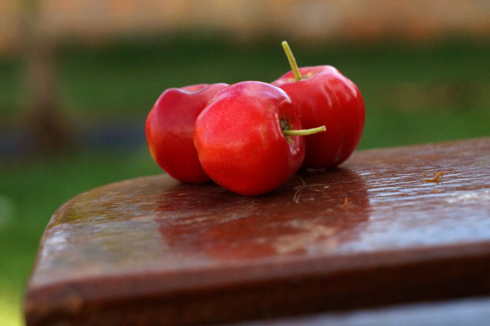 Sony Alpha NEX-F3 + Sony E 18-55mm F3.5-5.6 OSS sample photo. Acerola, fruit, vitamin photography