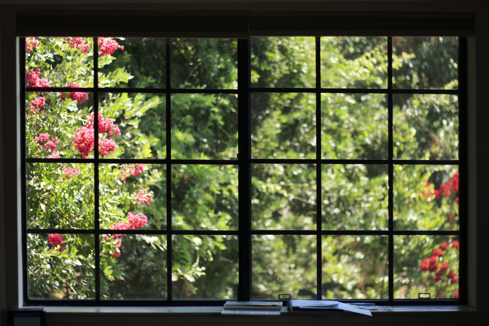 Canon EOS 450D (EOS Rebel XSi / EOS Kiss X2) + Canon EF 50mm F1.8 II sample photo. Window, flowers, house photography