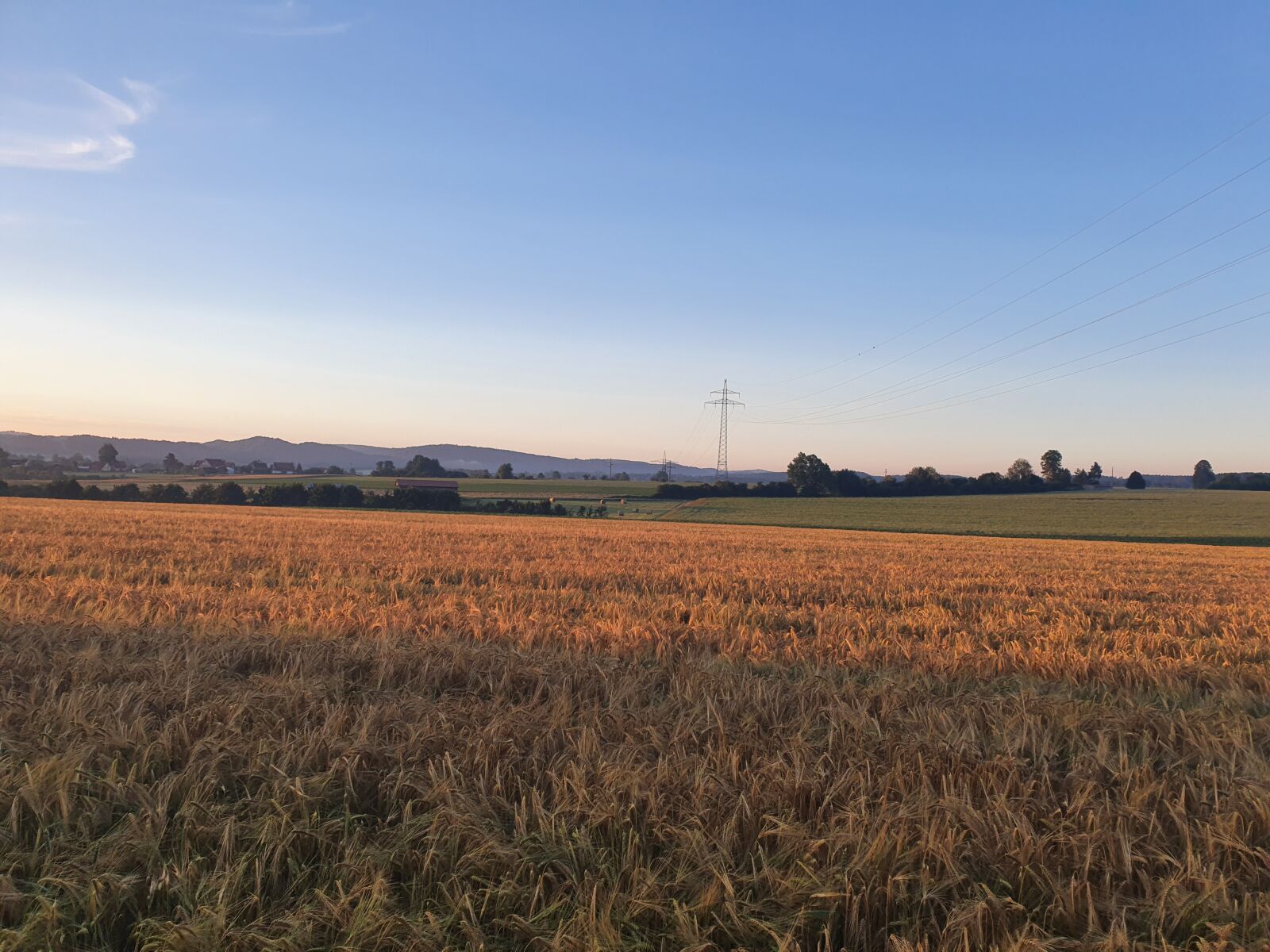 Samsung Galaxy S10+ sample photo. Natur, sonne, grün photography