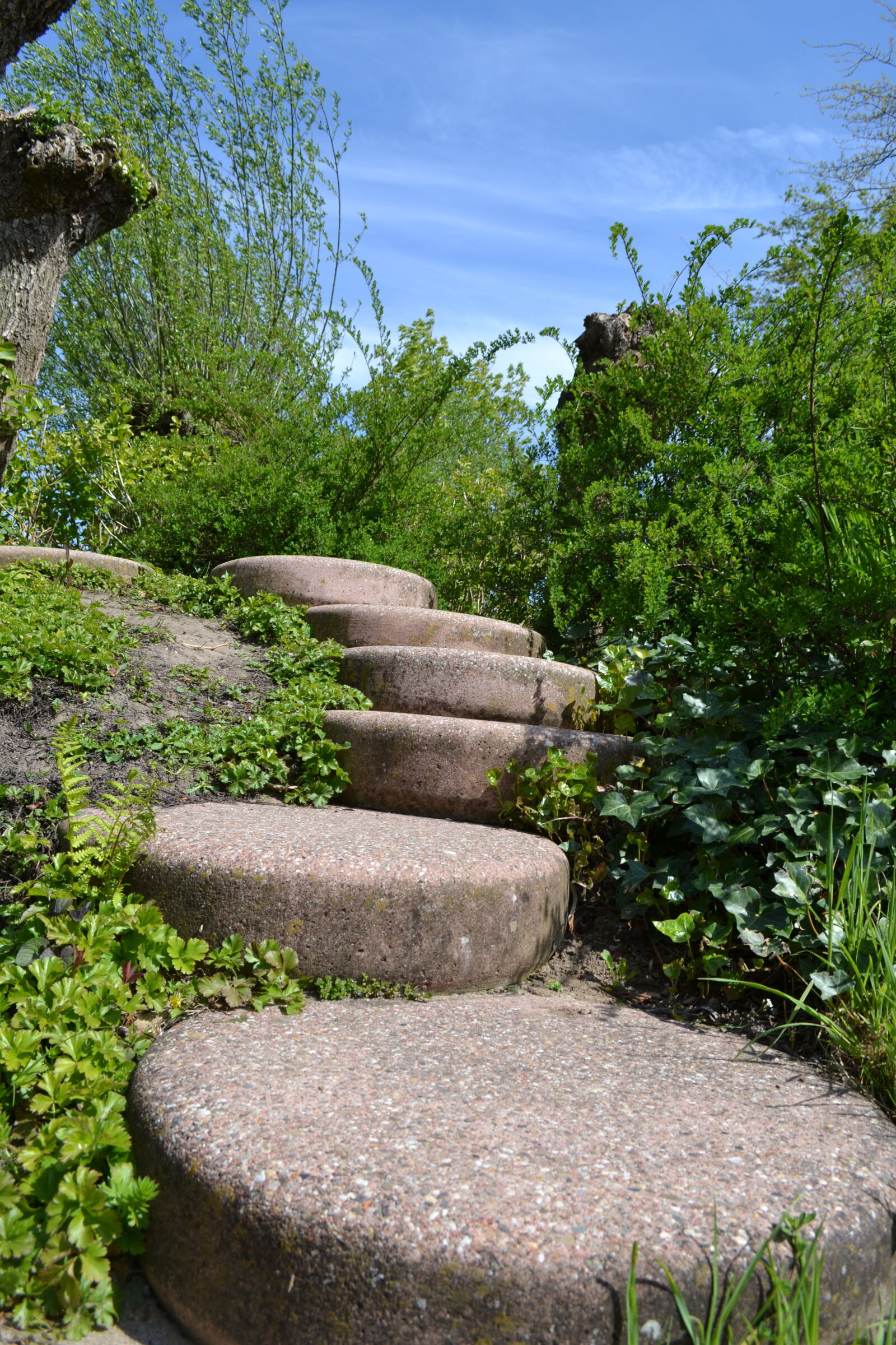 Nikon D3100 sample photo. Mevrouw, s, mylifewiths, path photography