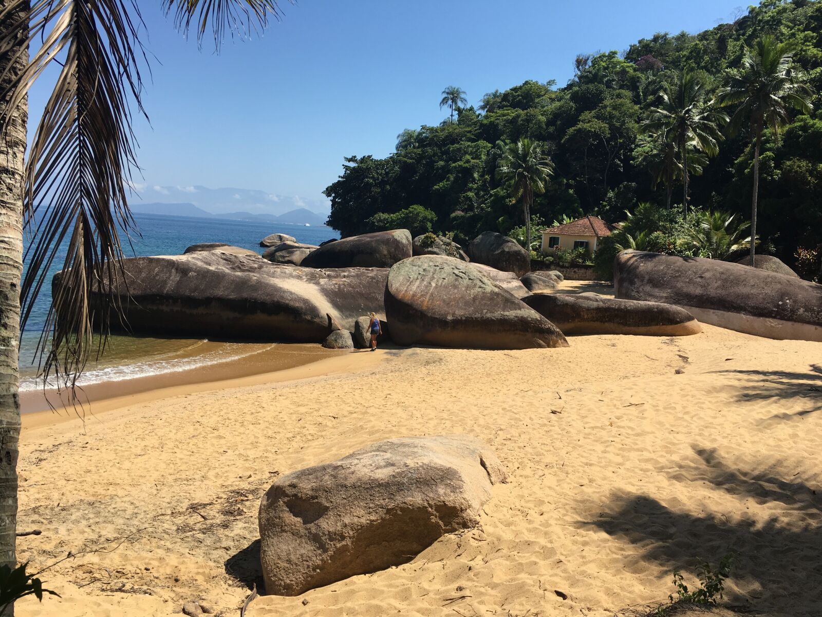 Apple iPhone 6s sample photo. Brazil, tropical, beach photography