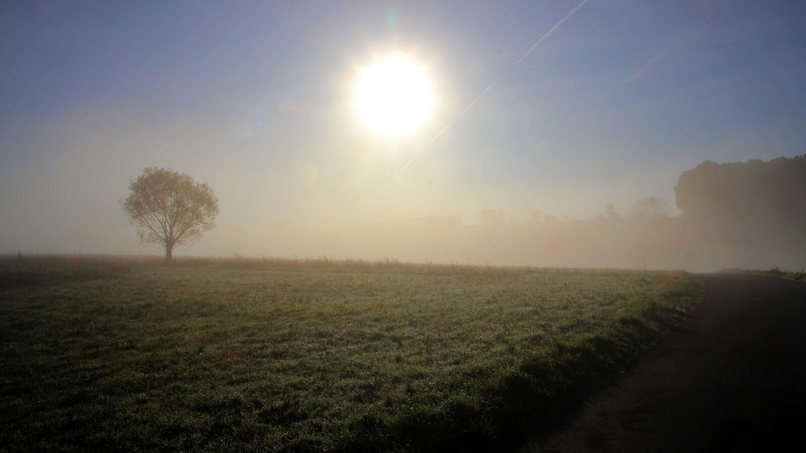 Canon EOS 600D (Rebel EOS T3i / EOS Kiss X5) sample photo. Fog, landscape, nature photography