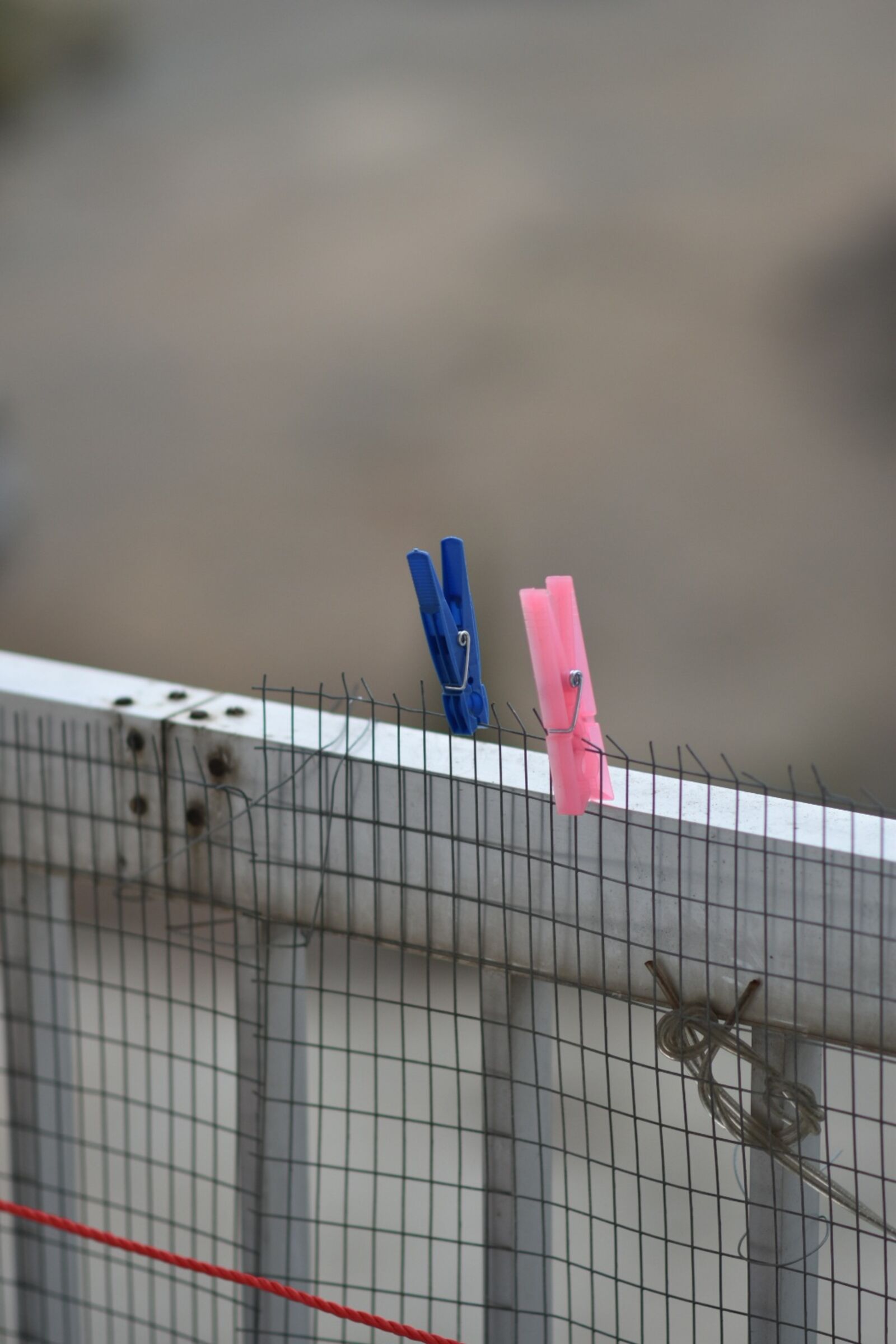 Nikon D5600 sample photo