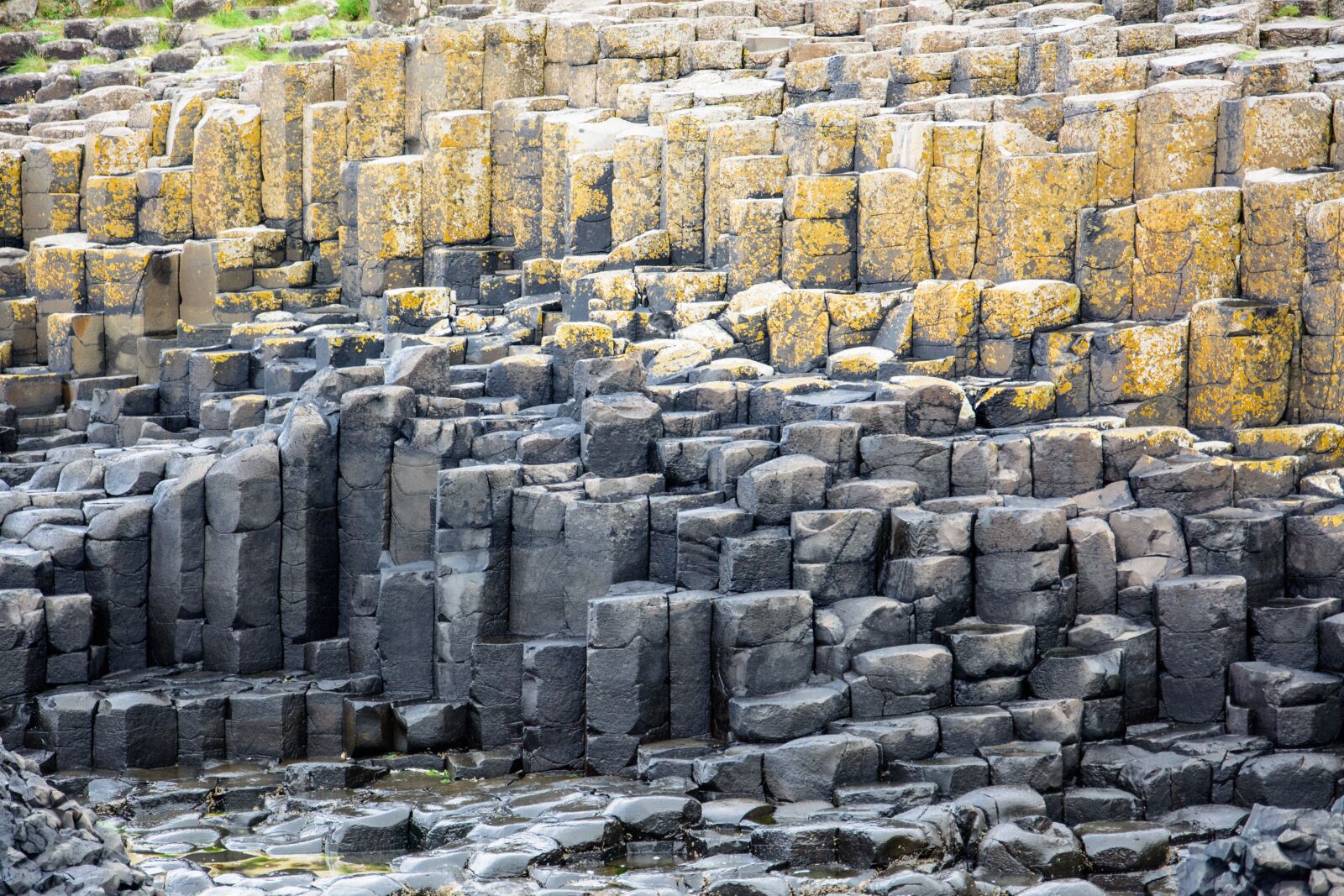 Nikon D5200 sample photo. Trail, the giants, ireland photography