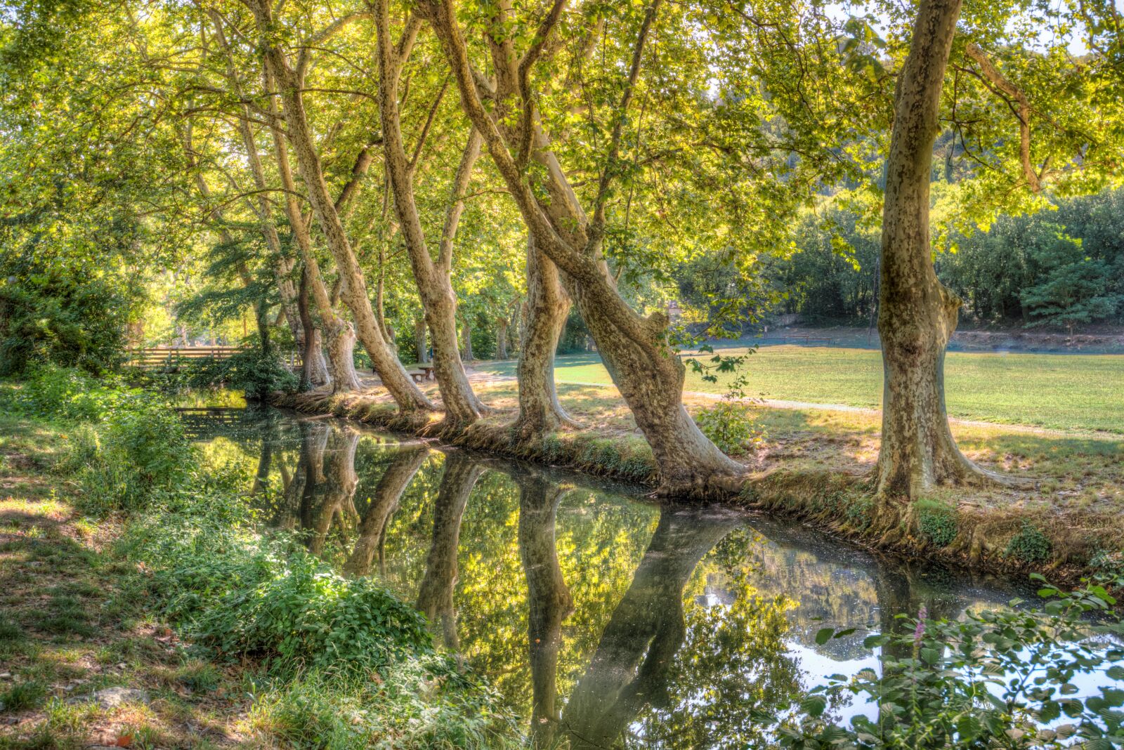 Nikon D610 sample photo. Pond, platanes, hdr photography