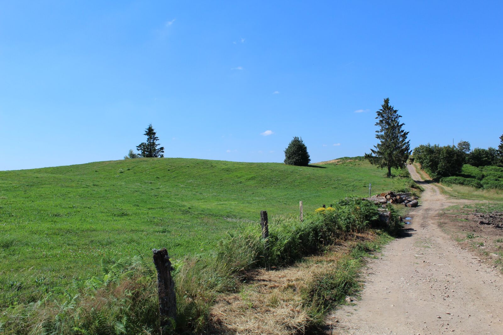 Canon EOS 1300D (EOS Rebel T6 / EOS Kiss X80) sample photo. Path, mountain, nature photography