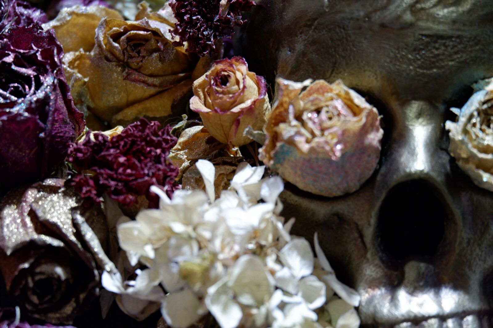 Fujifilm X-A3 sample photo. Roses, glitter, sparkle photography