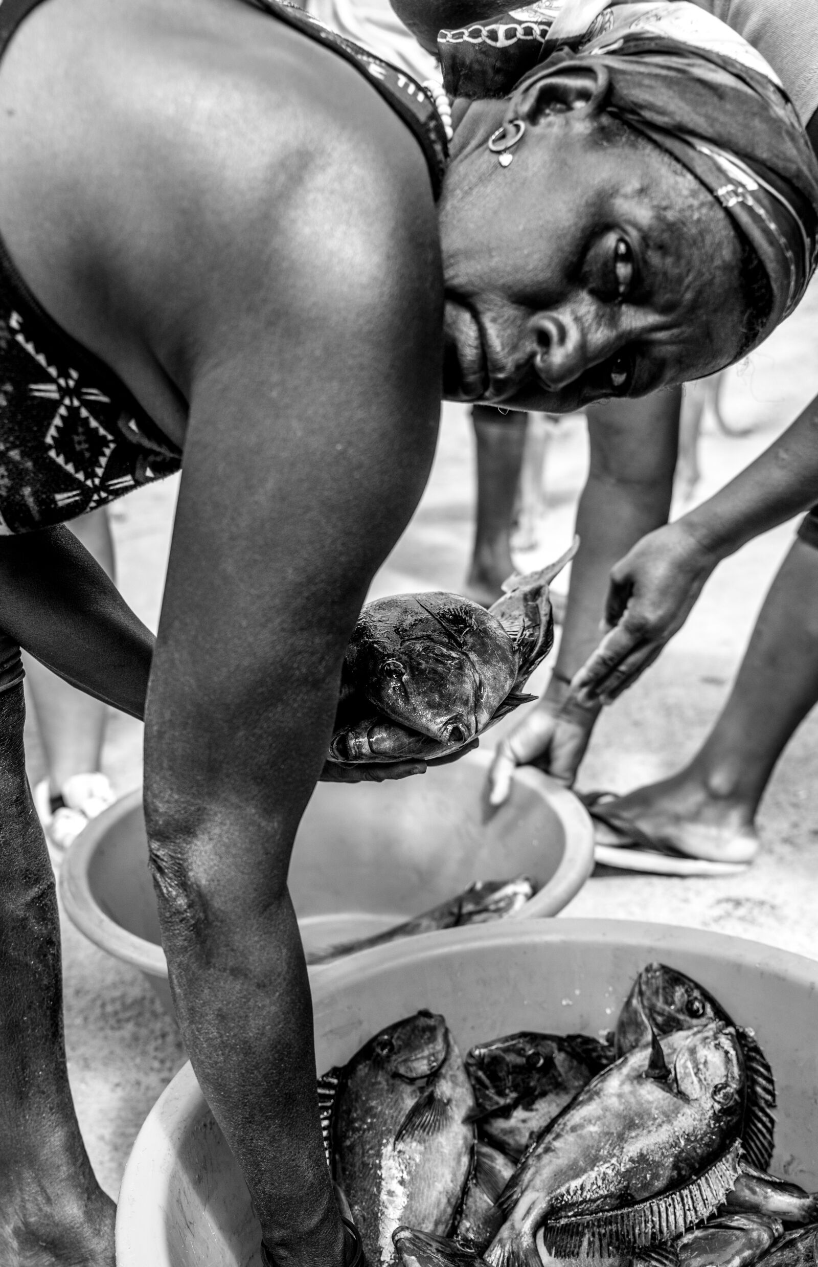 Nikon D750 sample photo. Fish, the catch, afrikaans photography