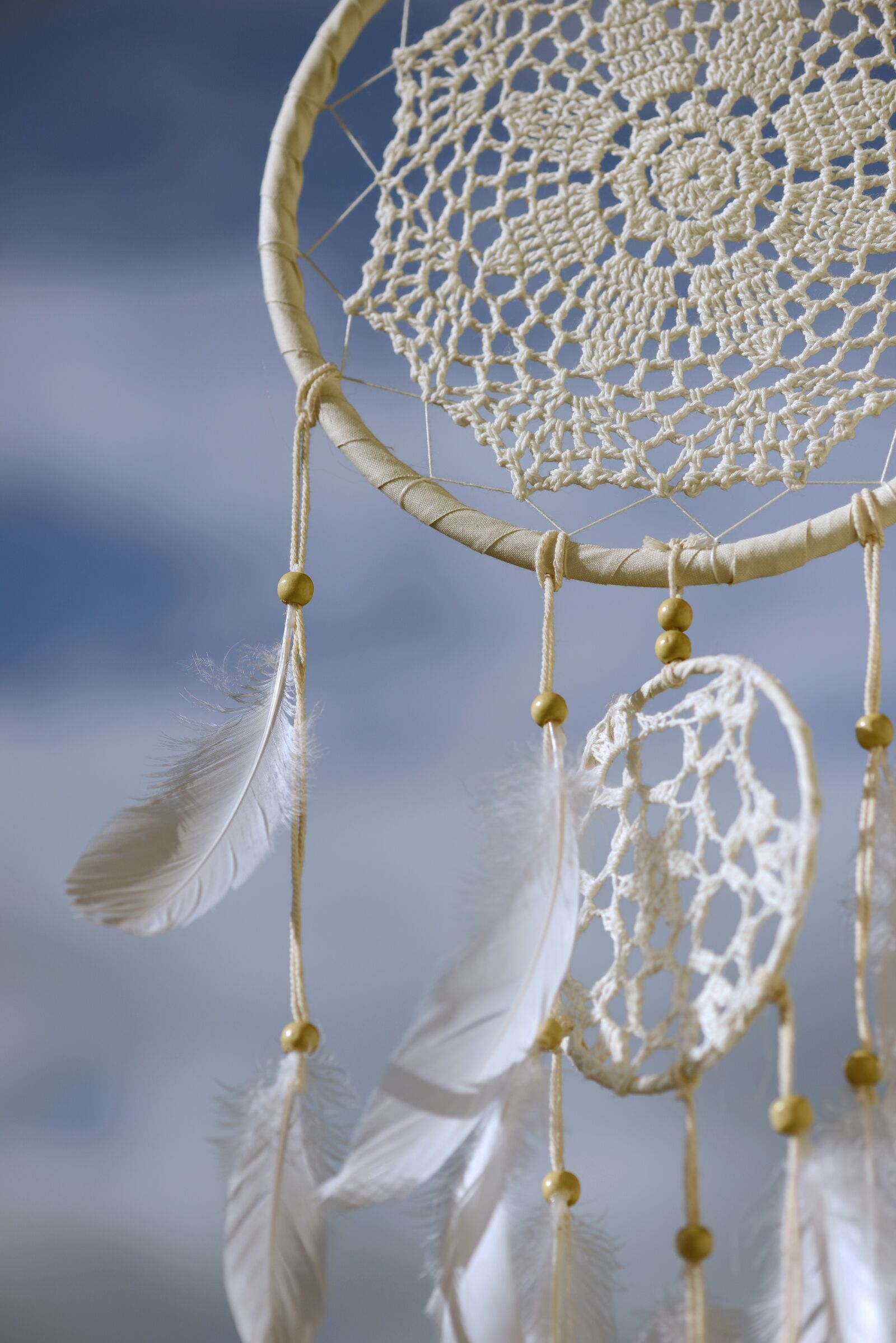 Nikon D800 sample photo. Dream catcher, spiritual, indians photography