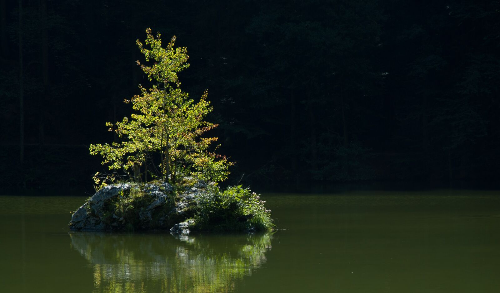 Nikon D200 sample photo. Lake, tyrol, backlighting photography