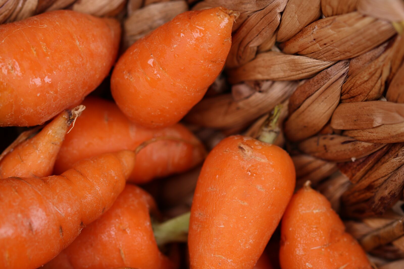 Canon EOS 750D (EOS Rebel T6i / EOS Kiss X8i) sample photo. Carrot, carrots, basket photography