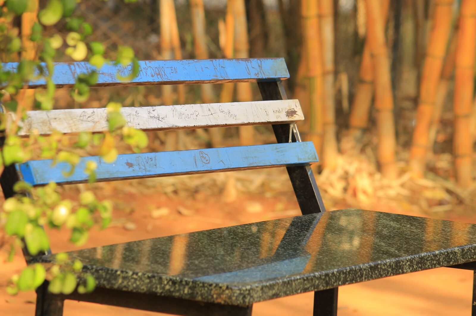 Canon EOS 1100D (EOS Rebel T3 / EOS Kiss X50) sample photo. Lonely, place, nature photography