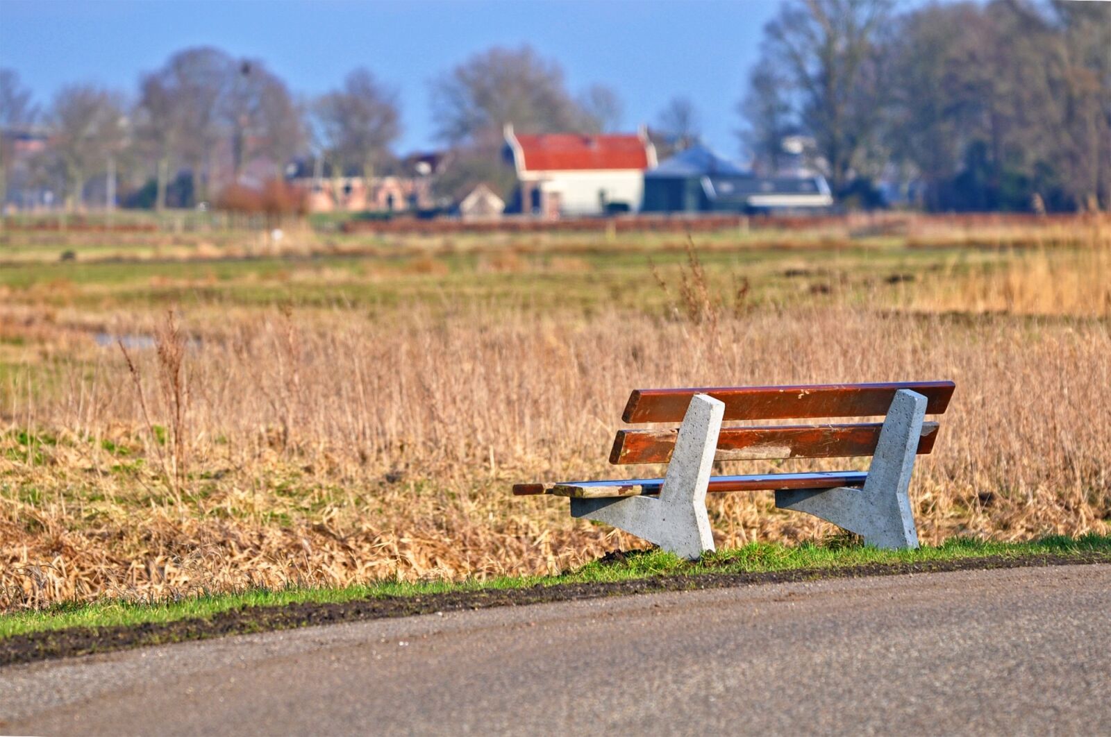 Nikon D90 sample photo. Bench, wooden bench, seat photography